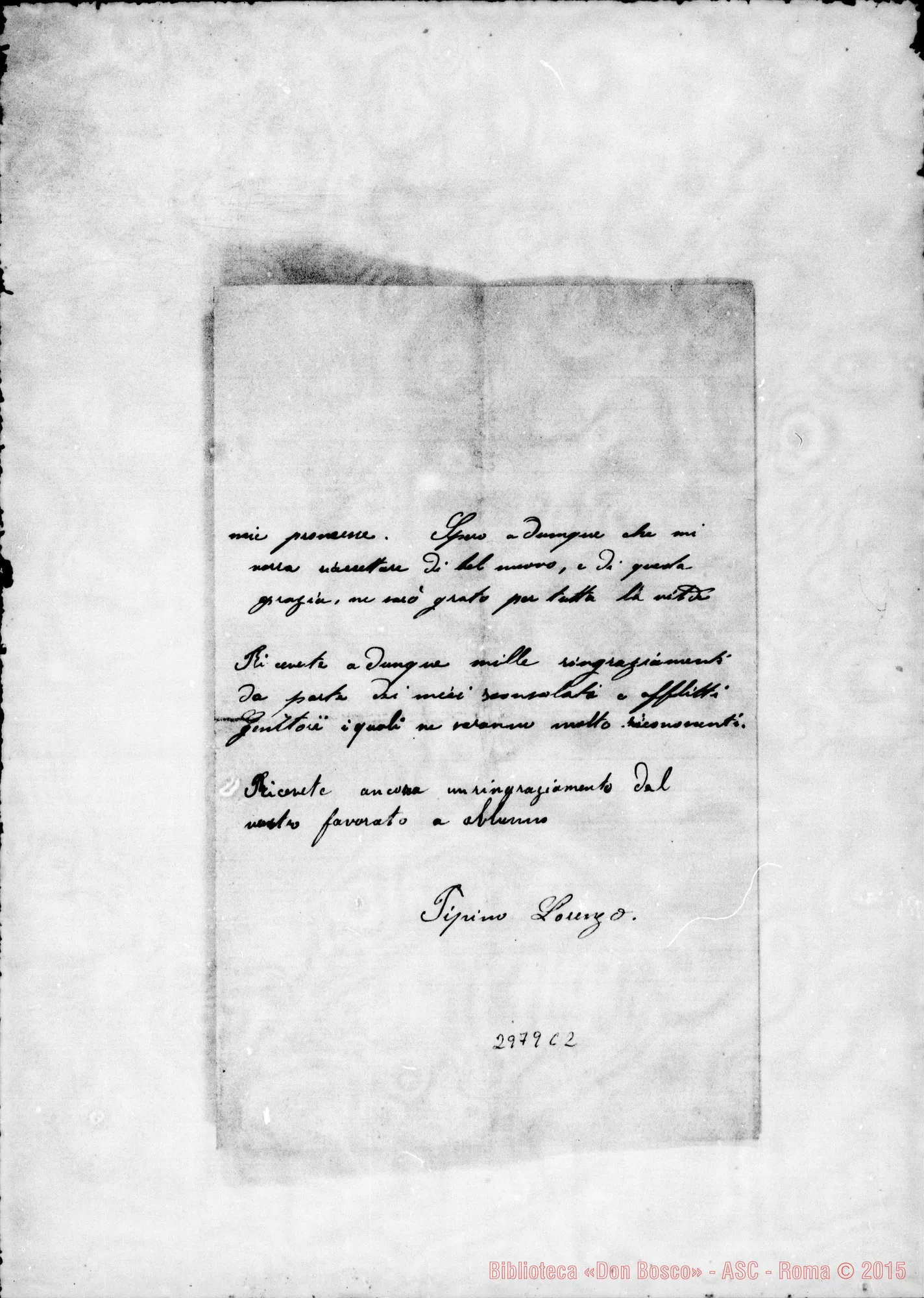 Fotogramma C 2 — Pipino Lorenzo: Pipino Lorenzo - Direttore
