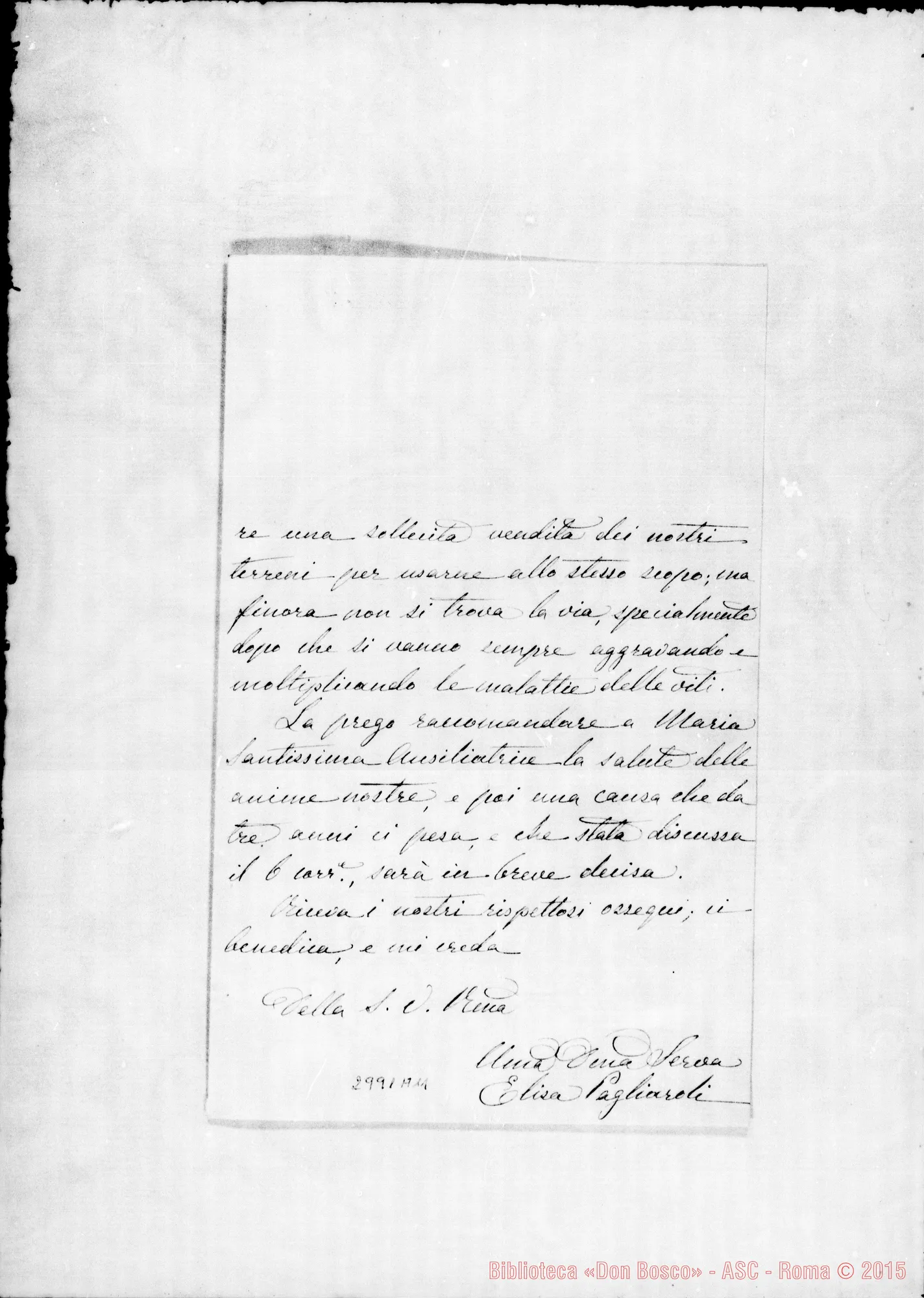 Fotogramma A 11 — Pagliaroli Elisa: Elisa - Rev.mo Signore. Per vitalizio. Genzano, 8-12-1893