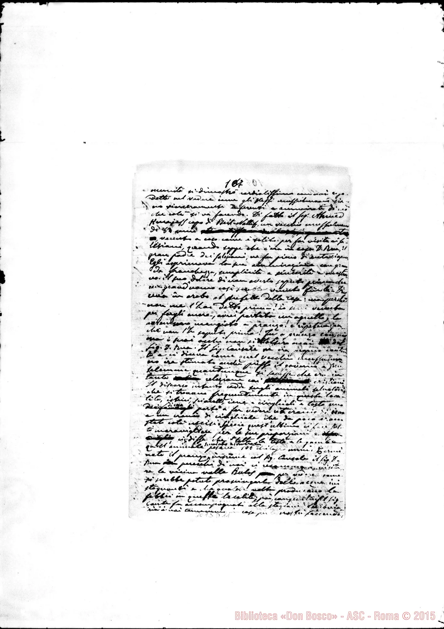 Fotogramma D 11