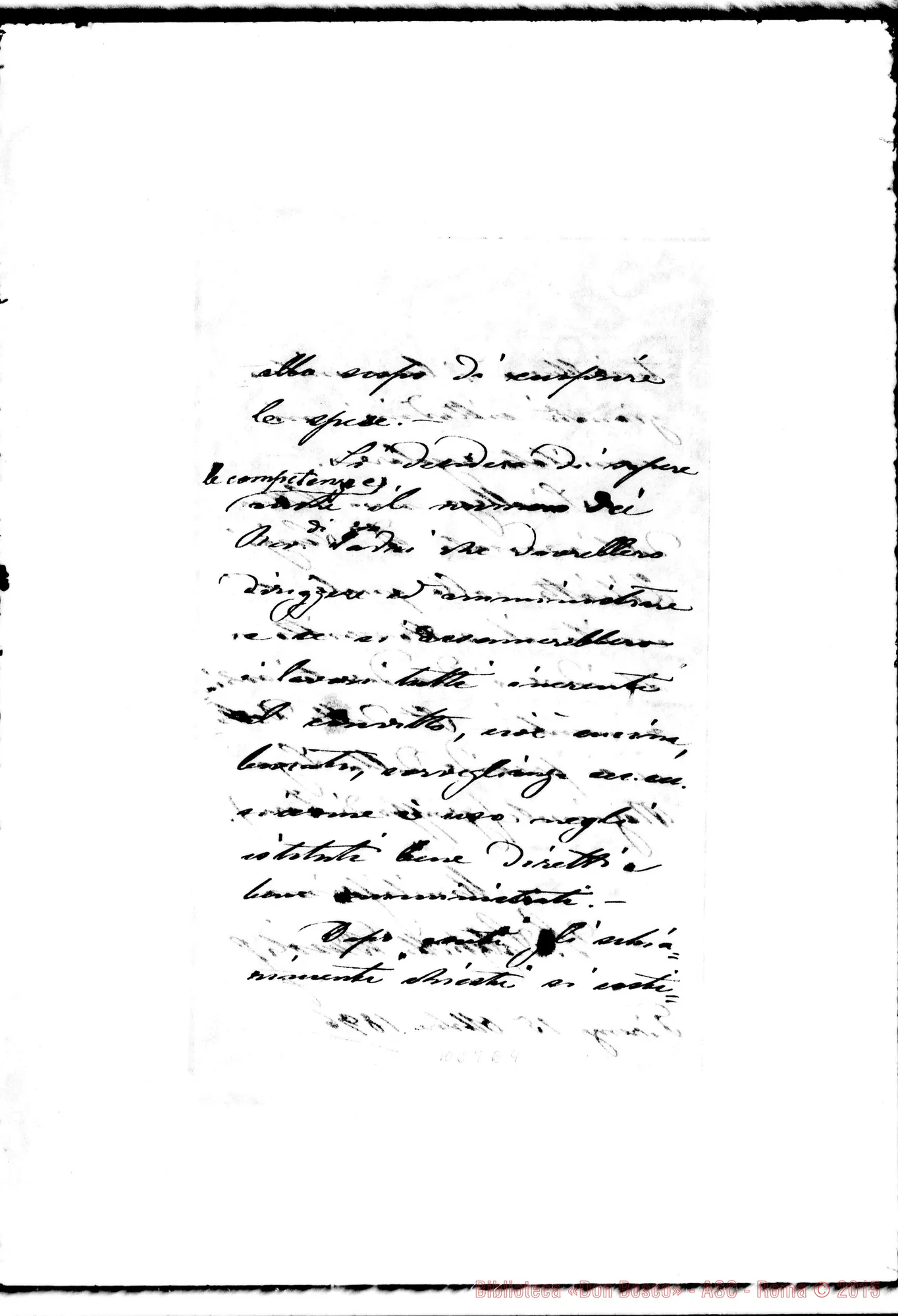 Fotogramma E 4 — Salghetti - D. Rua. Firenze, 15-10-1896. Autogr. Rua