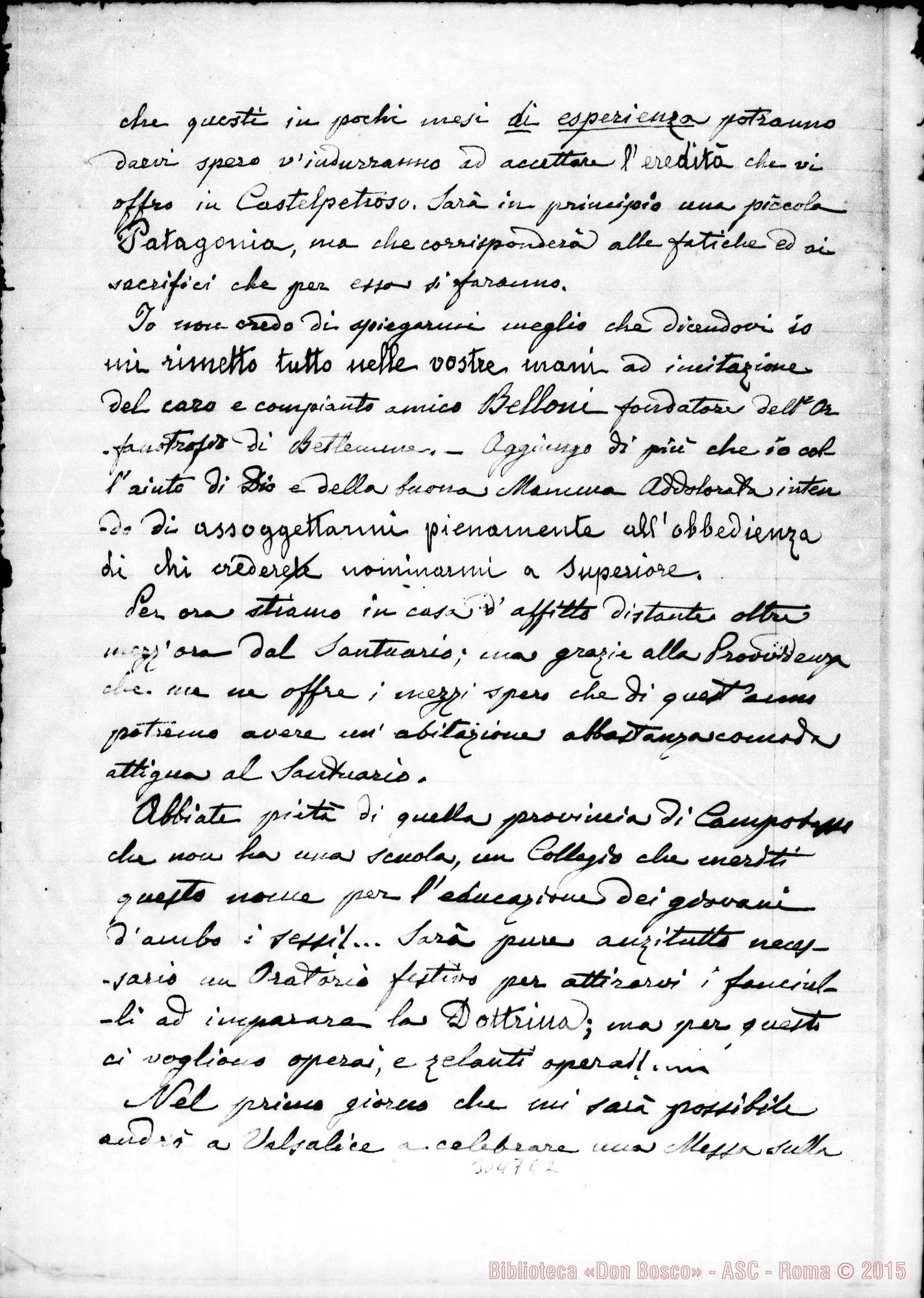 Fotogramma E 2 — D. Bellia Giacomo - D. Rua. Torino, 3-02-1904