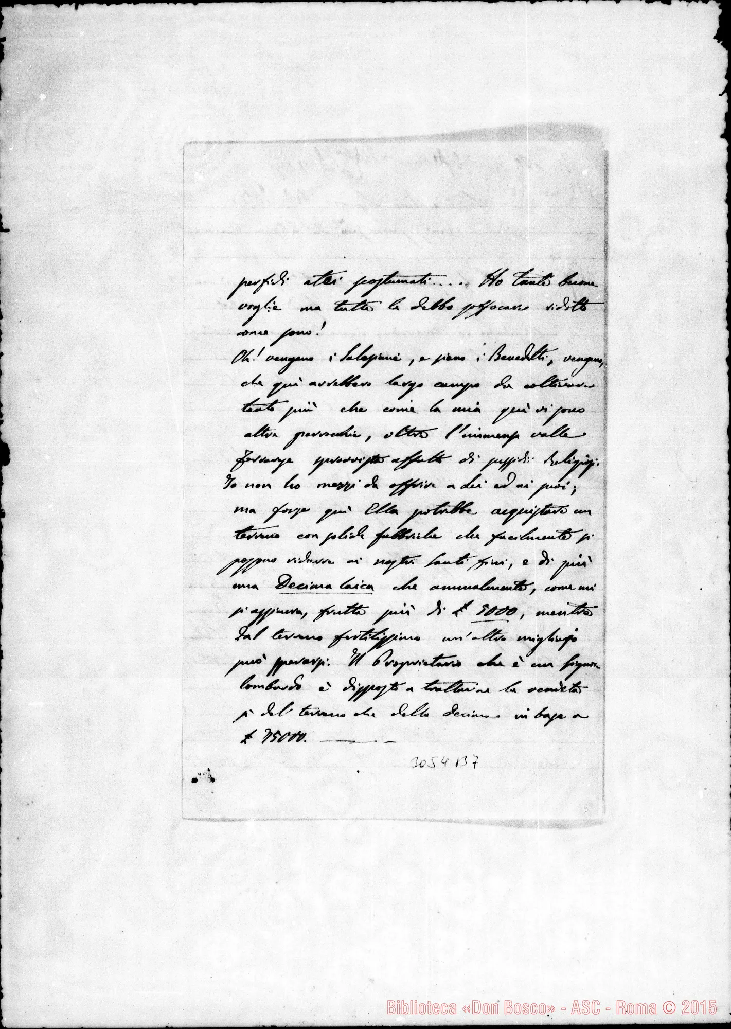 Fotogramma B 7 — Cologna: Zama Zamboni, arciprete - D. Rua. Cologna, 8-11-1895