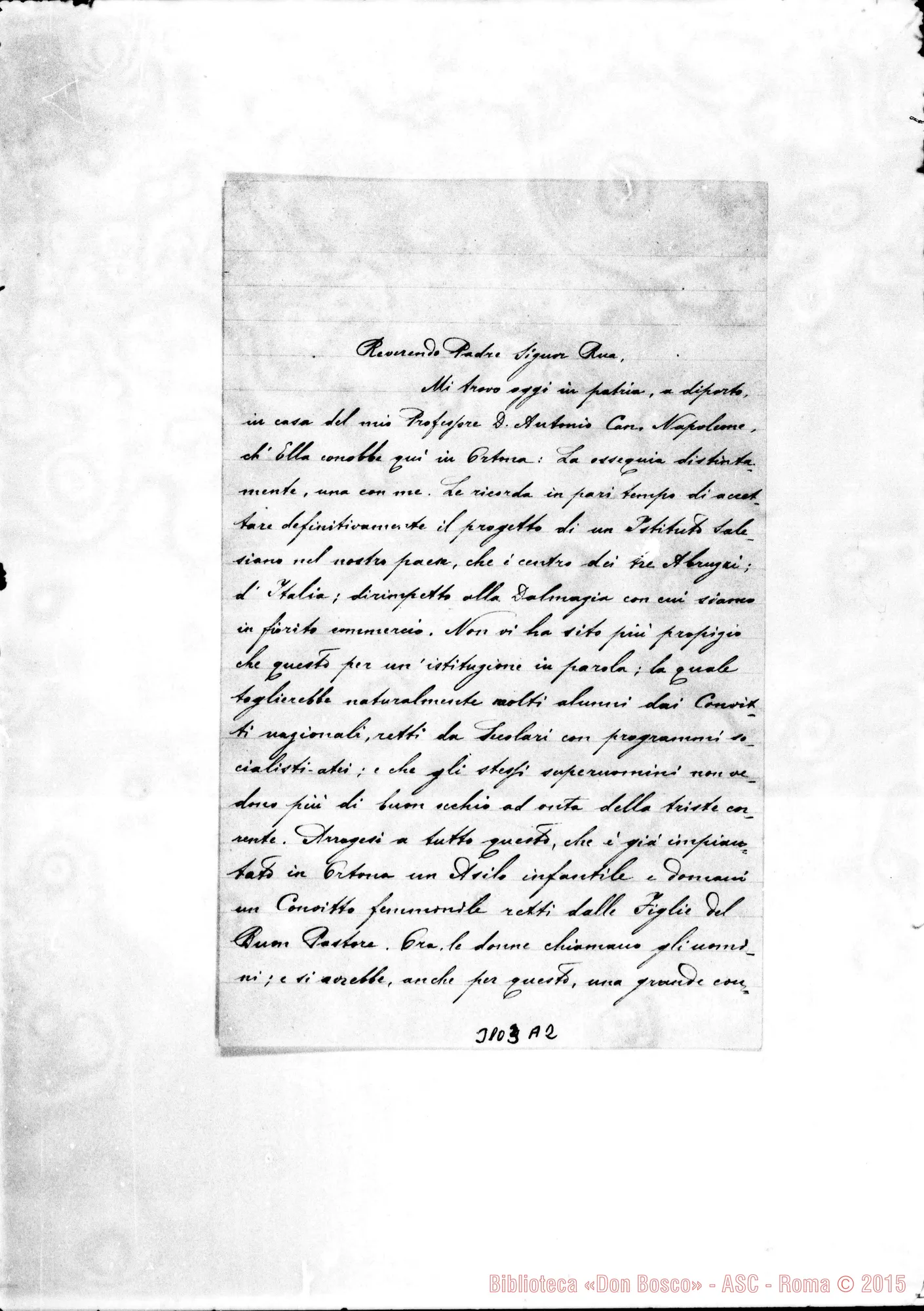 Fotogramma A 2 — Francesco Francia di Claudio - D. Rua. Ortona, 4-05-1900