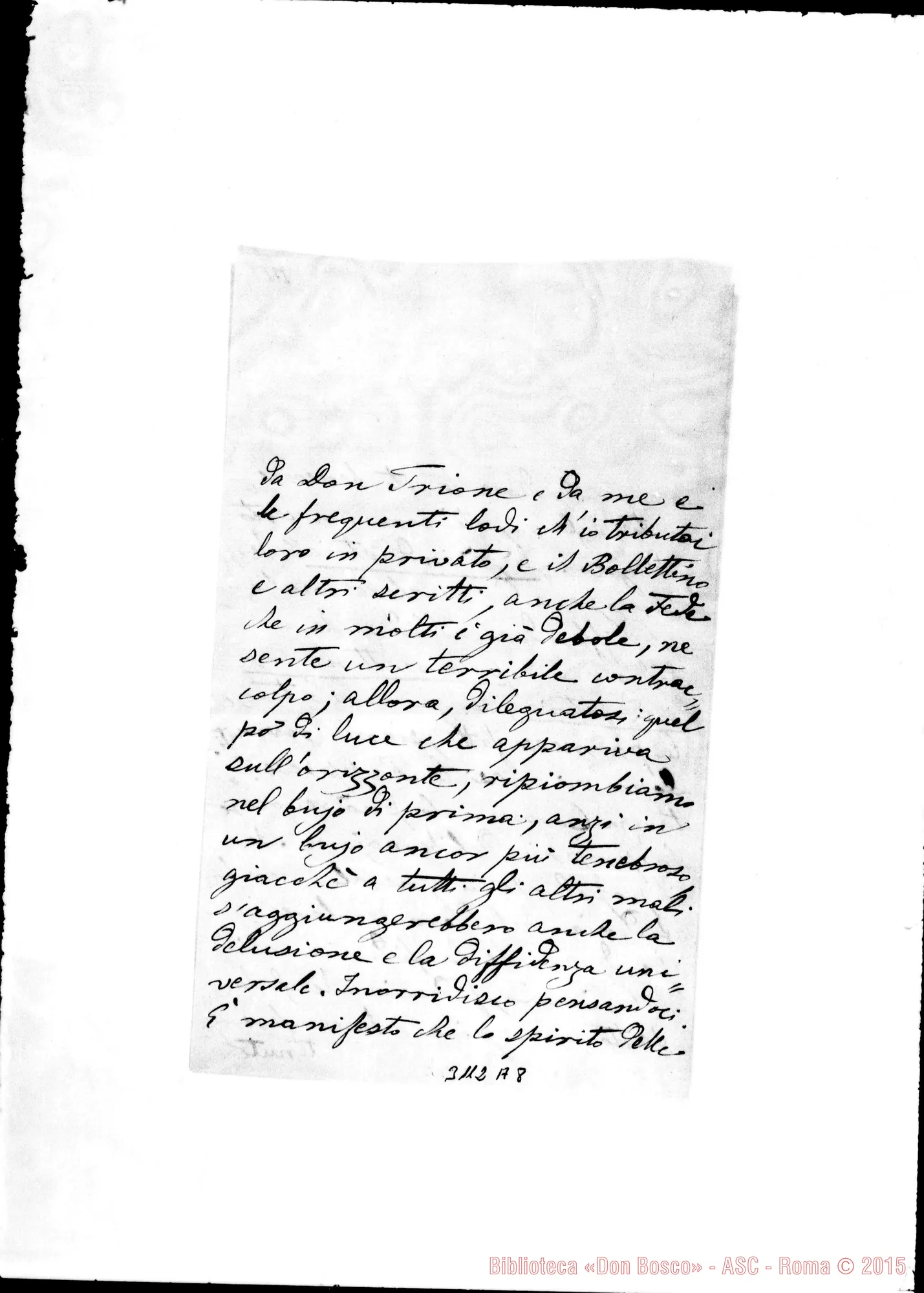 Fotogramma A 8 — Pola: Dott. G. Curto - D. Rua. Pola, 27-07-1895. Autogr. Rua