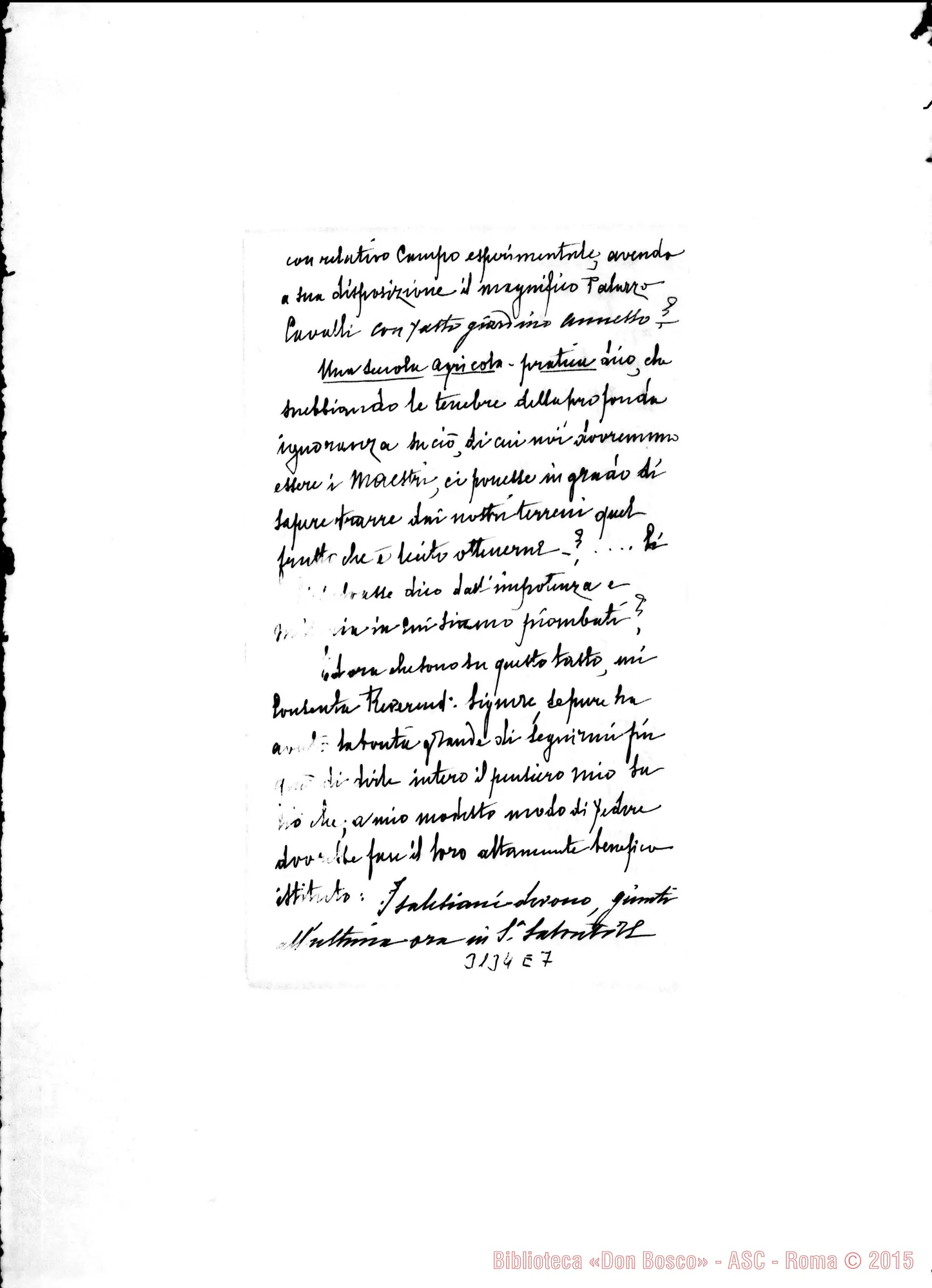 Fotogramma E 7 — S. Salvatore: Carmagnola - Rev.do Signore. Treviso, 17-02-1905