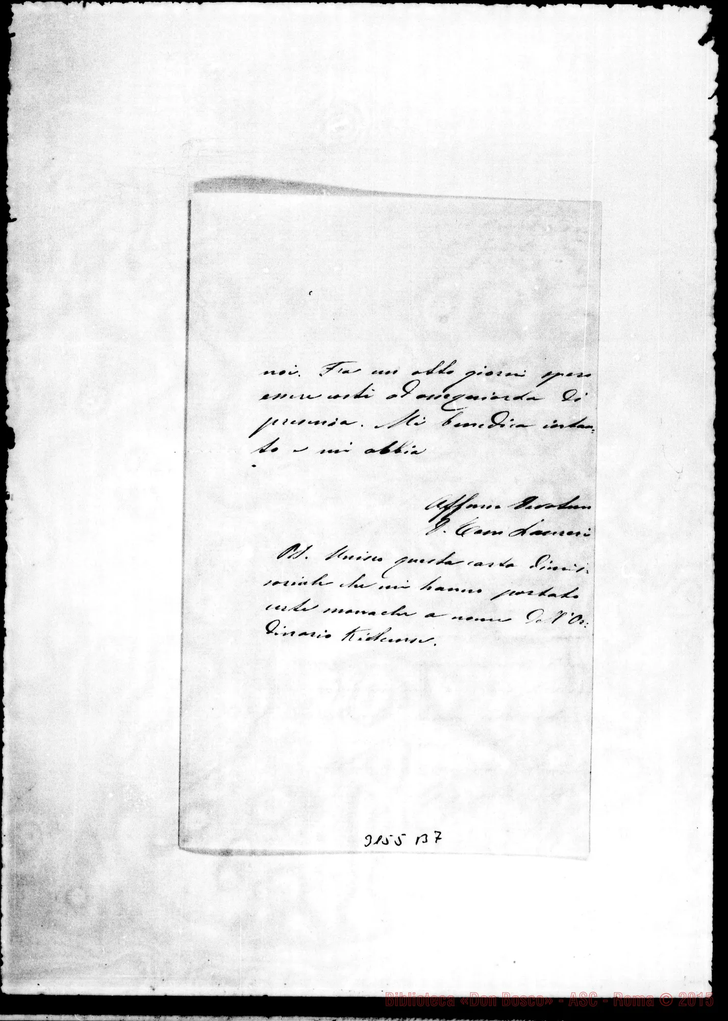 Fotogramma B 7 — D. Laureri Tommaso - D. Rua. Roma, 16-08-1900
