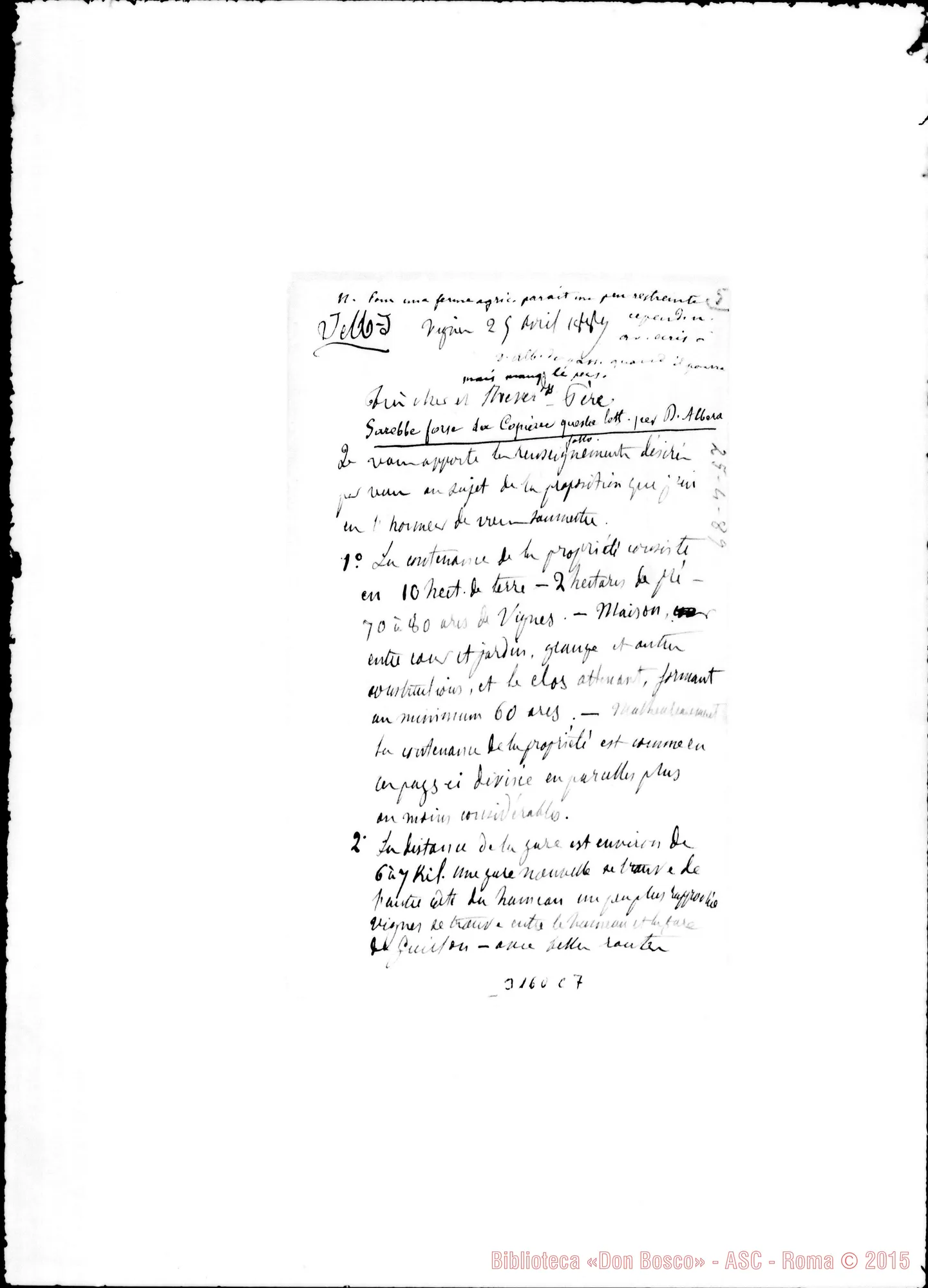 Fotogramma C 7 — Dutartre - Révérend Père. Vignes, 25-04-1889