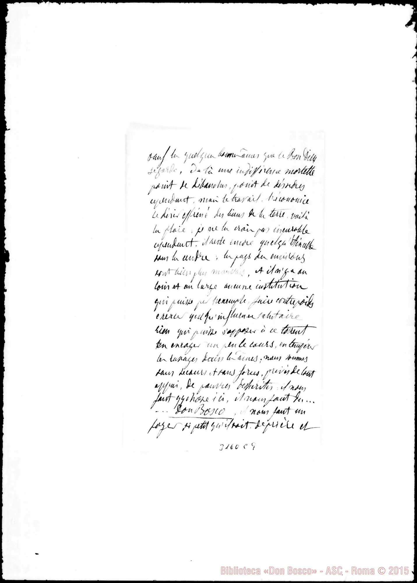 Fotogramma C 9 — Dutartre - Révérend Père. Vignes, 25-04-1889