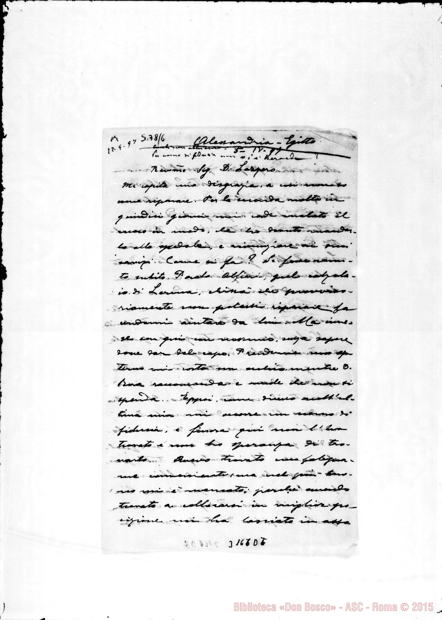 Fotogramma D 7 — D. Angelo Festa - D. Lazzero. Alessandria d’Egitto, 24-03-1897