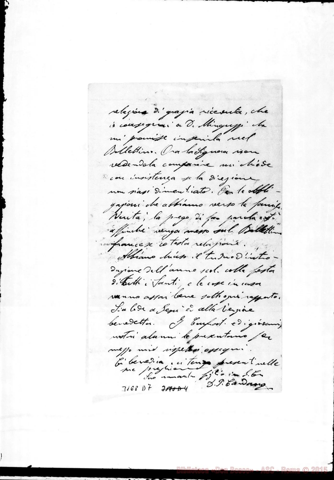 Fotogramma D 7 — D. Cardano Pietro - D. Durando. Alessandria d’Egitto, 5-11-1901