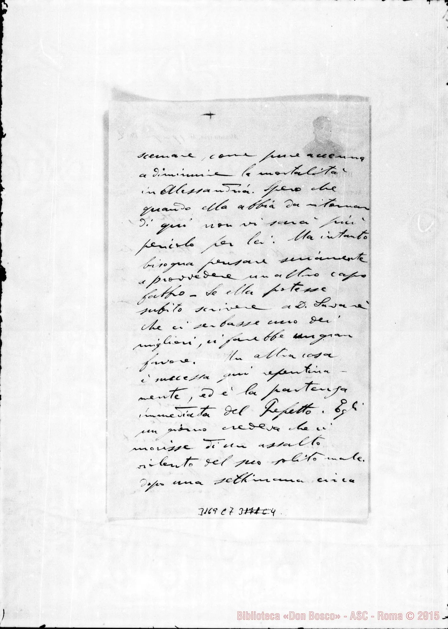 Fotogramma C 7 — D. Cardano Pietro - Direttore. Alessandria d’Egitto, 19-09-1902