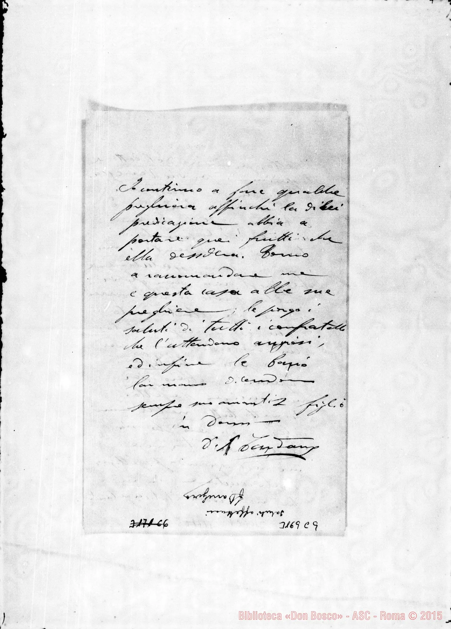 Fotogramma C 9 — D. Cardano Pietro - Direttore. Alessandria d’Egitto, 19-09-1902