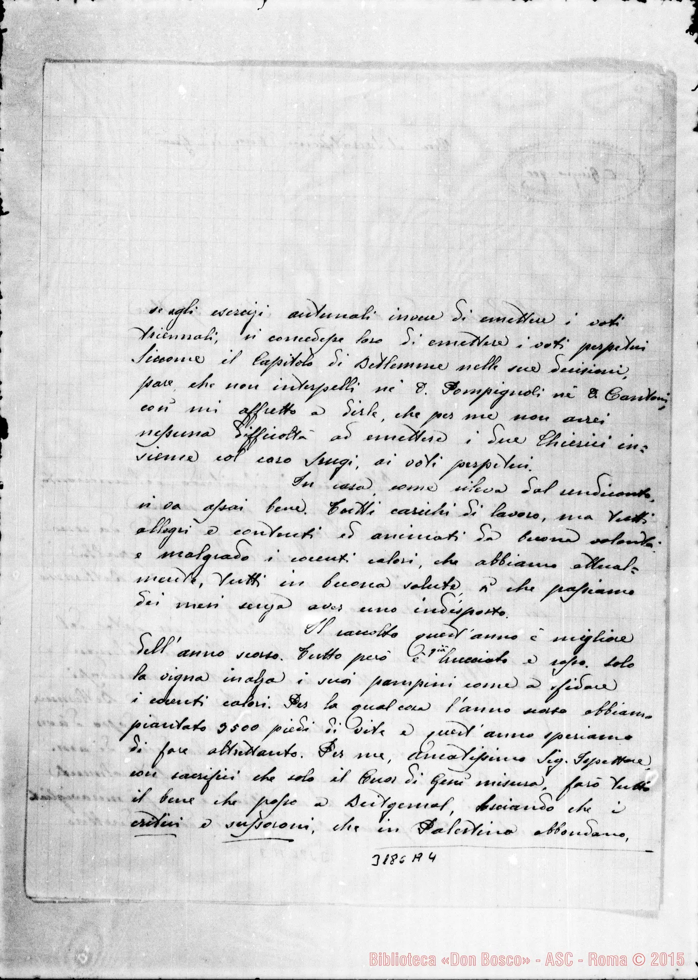 Fotogramma A 4 — Don Luigi Maria Cantoni-Ispettore. Beitgemal, 6-06-1900