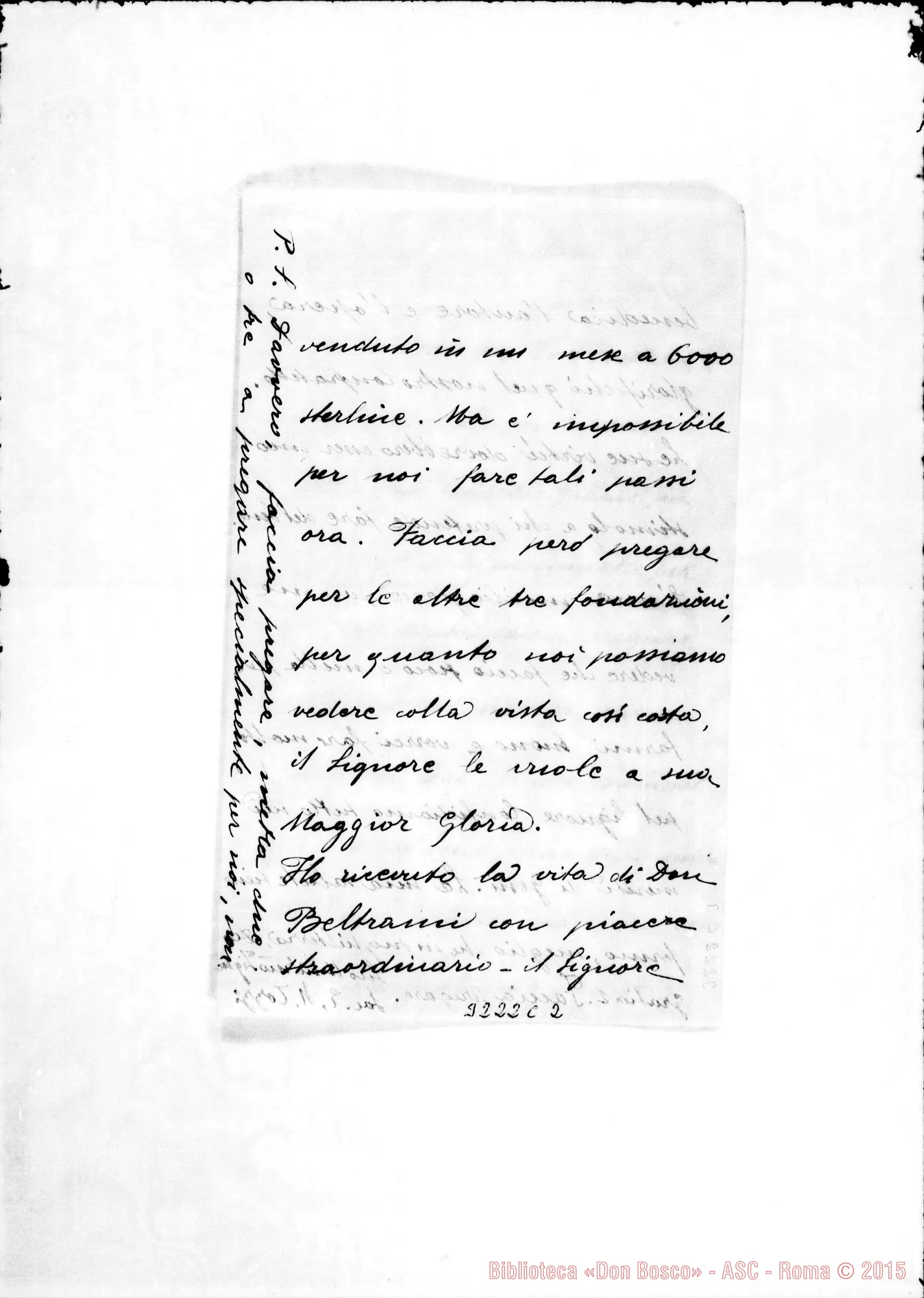 Fotogramma C 2 — Dori Tozzi Enea-Don Barberis. Cape Town, 23-04-1902