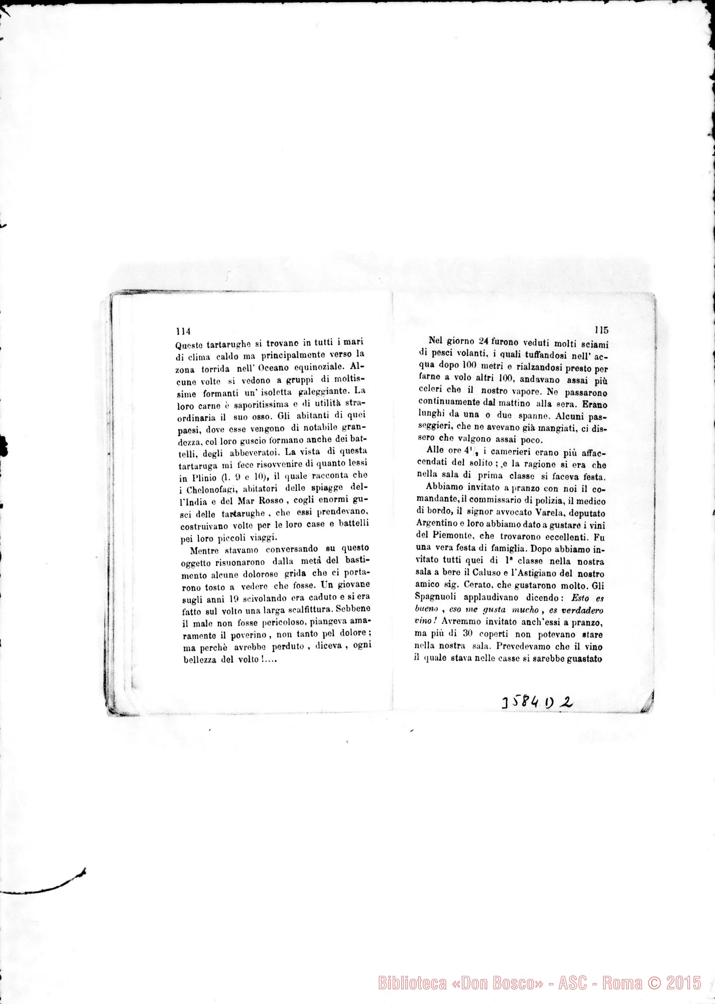 Fotogramma D 2
