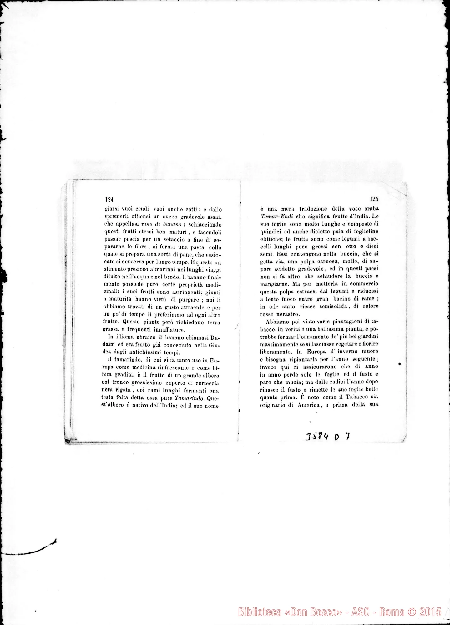 Fotogramma D 7