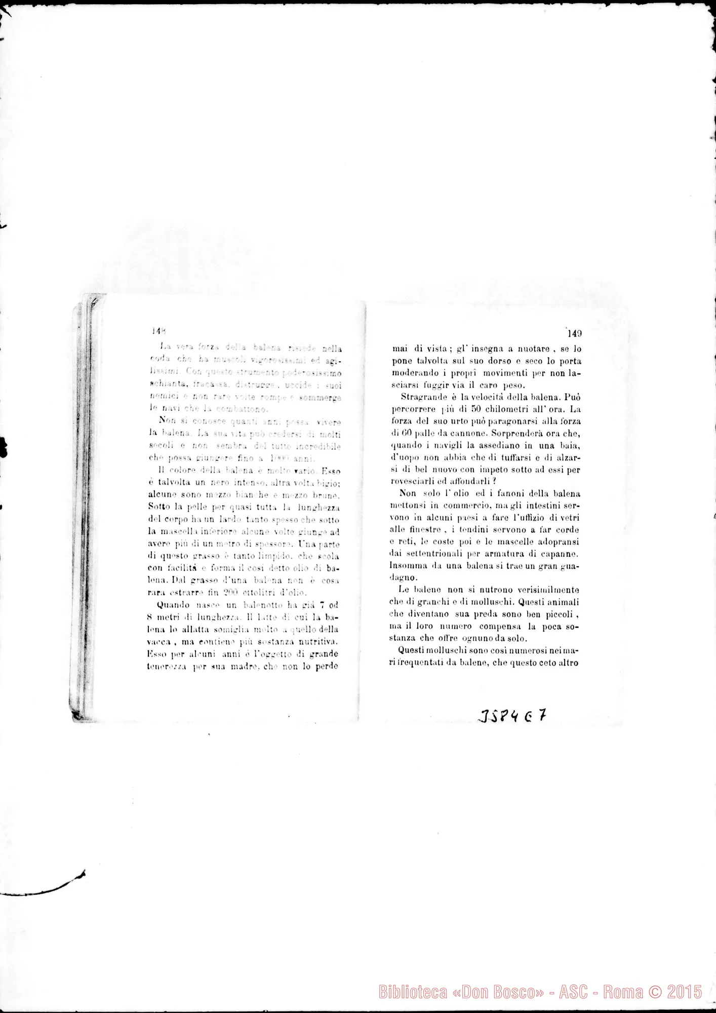 Fotogramma E 7