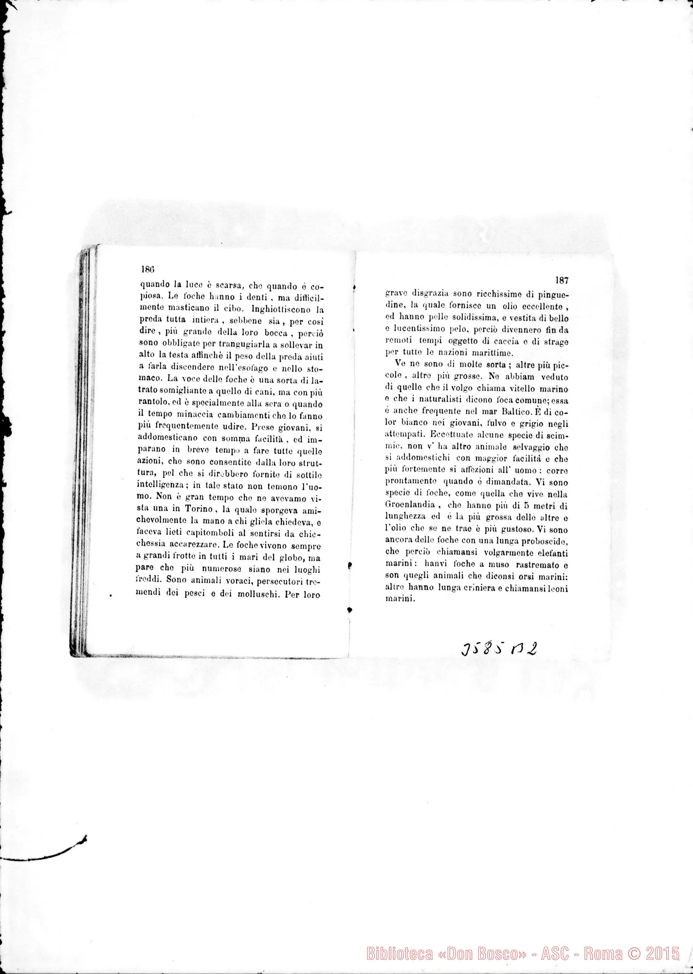 Fotogramma B 2 — Don Chiala Cesare: raccolta di lettere di missionari. Stampato 1876