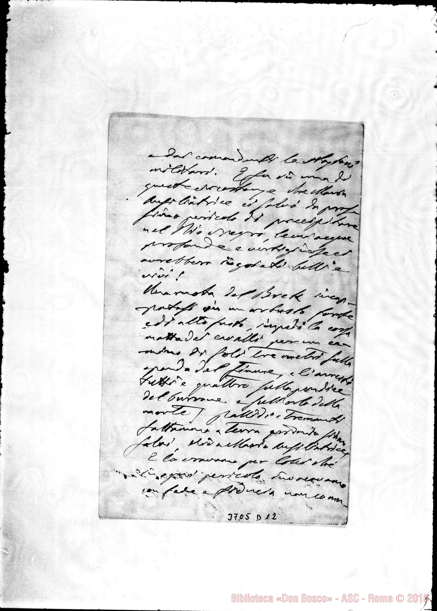 Fotogramma D 12 — « « s.l., 3-08-1896 Autogr. Rua