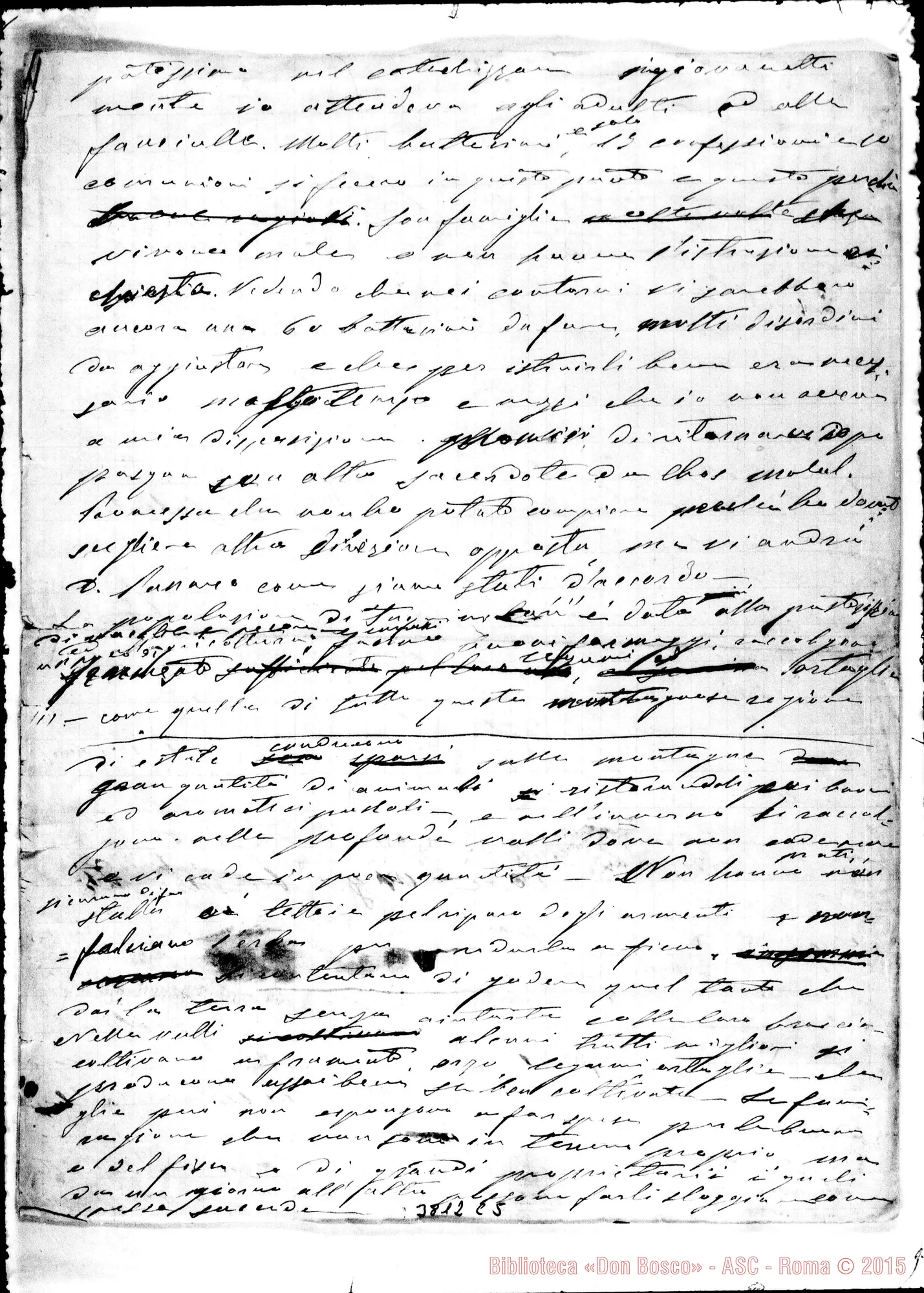 Fotogramma C 5 — « « Rio Negro, 28-04-1890 Autogr. Rua