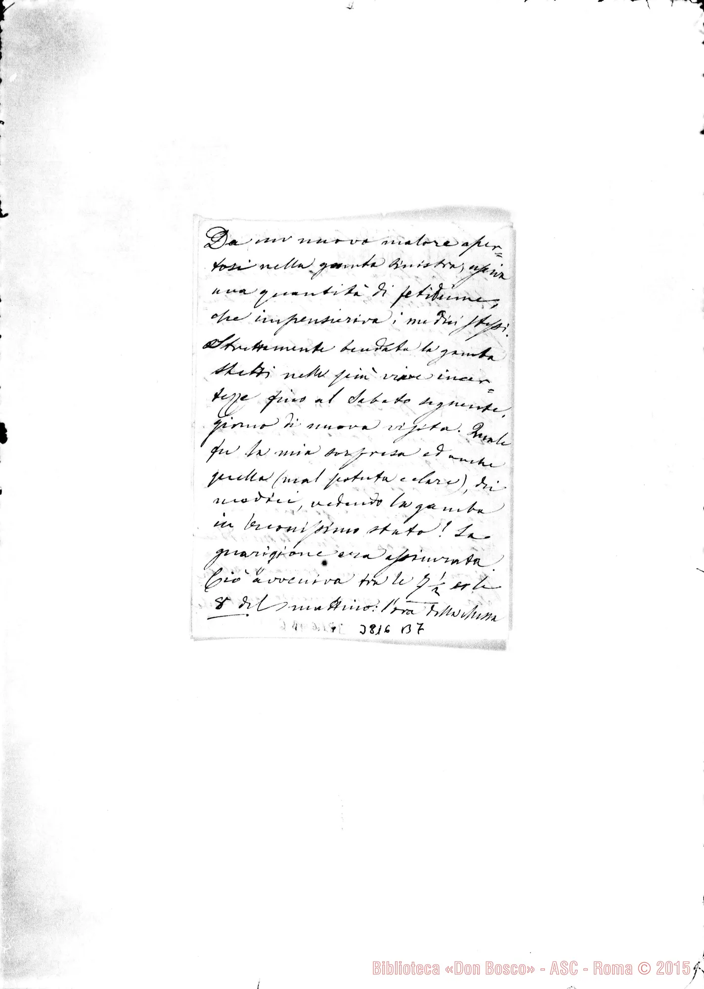 Fotogramma B 7 — Suttil Gerolamo s.l. 4-11-1886