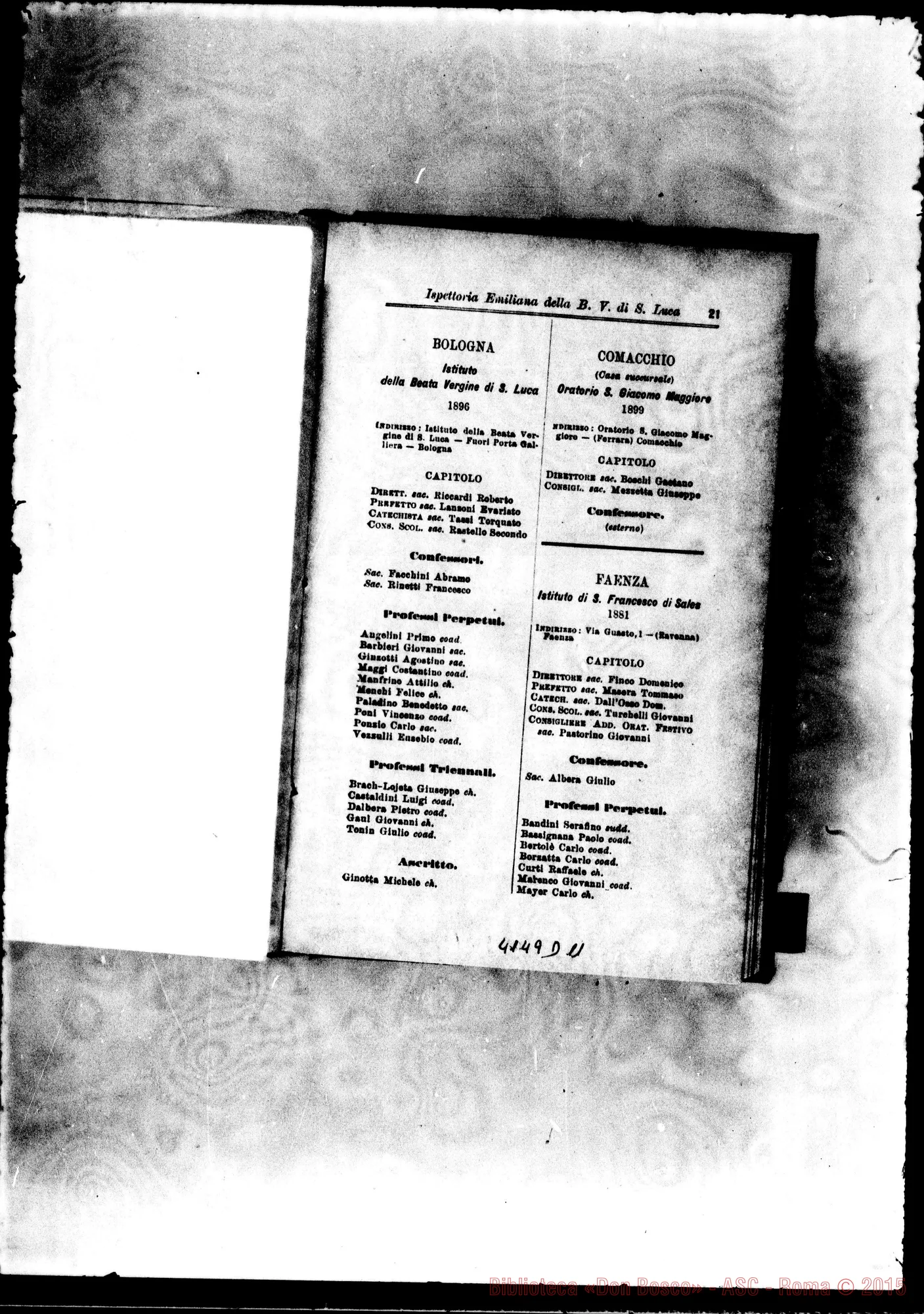 Fotogramma D 11