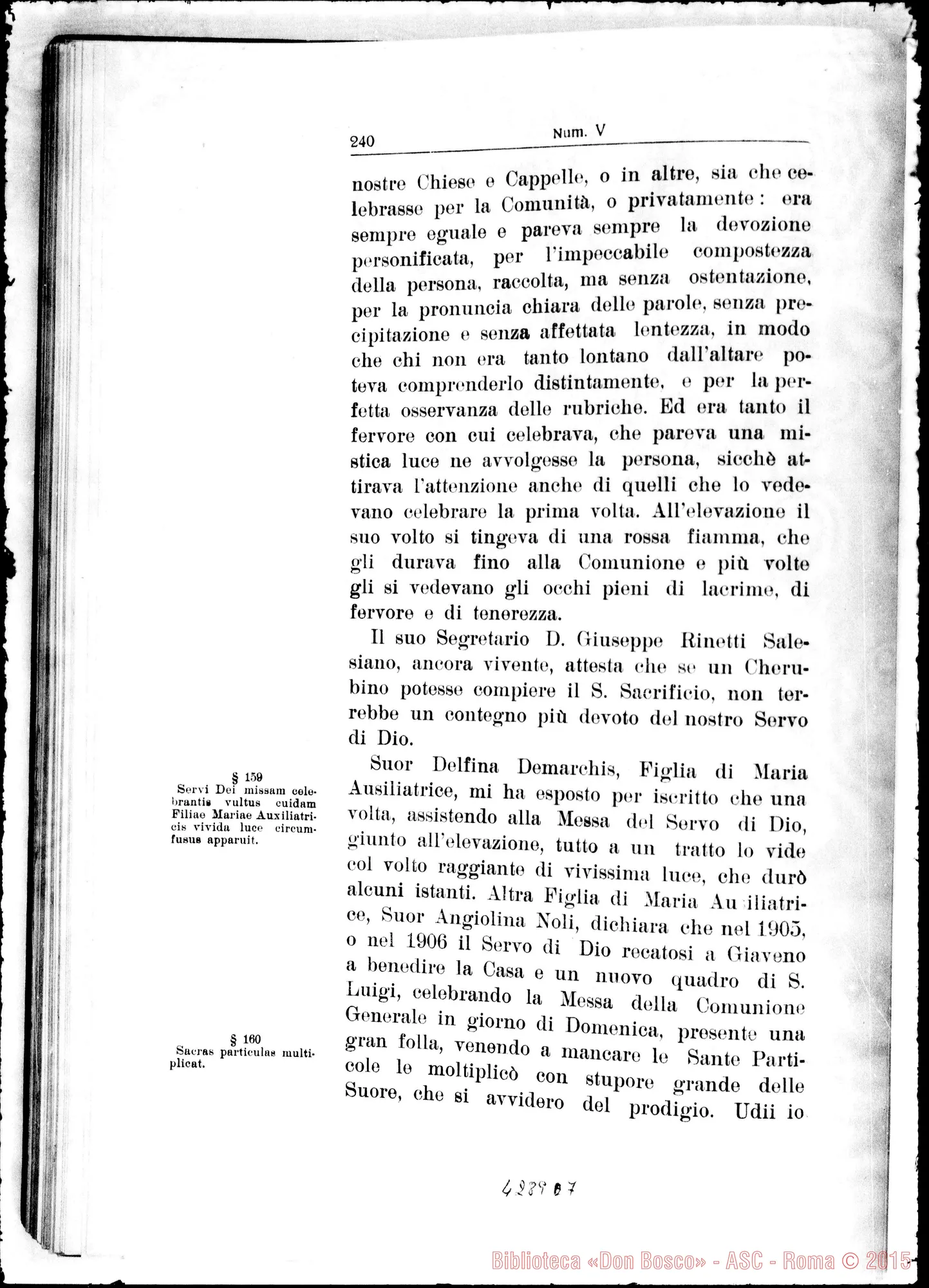Fotogramma D 7