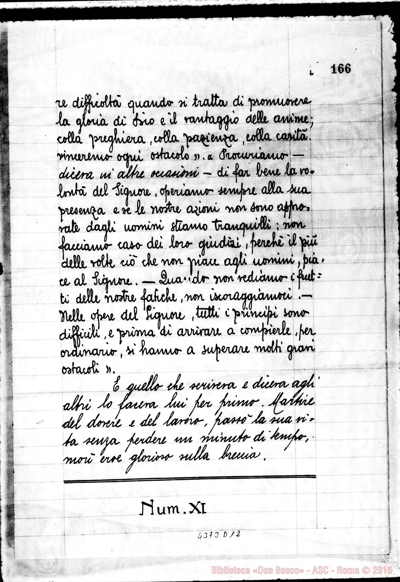Fotogramma D 12