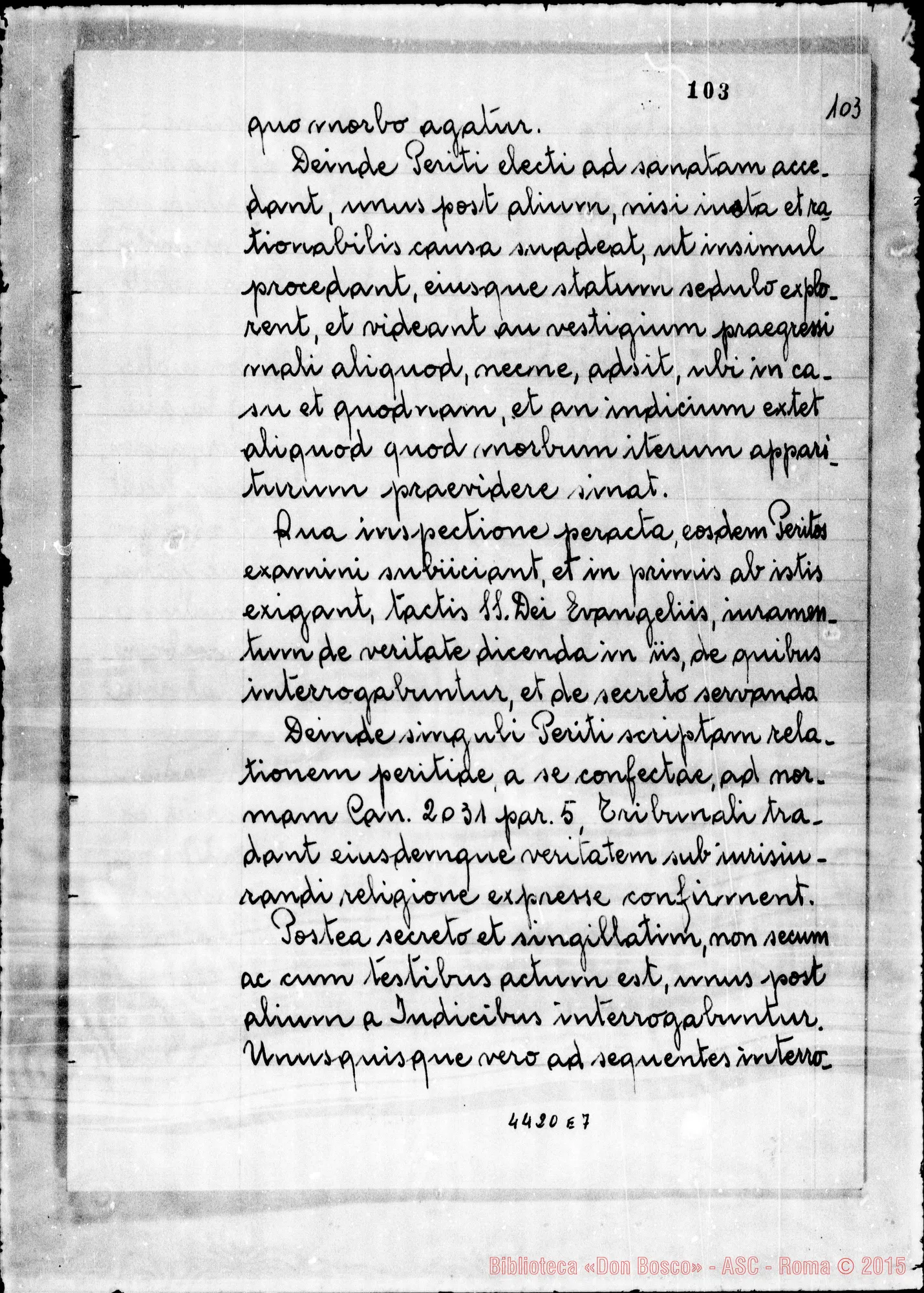 Fotogramma E 7
