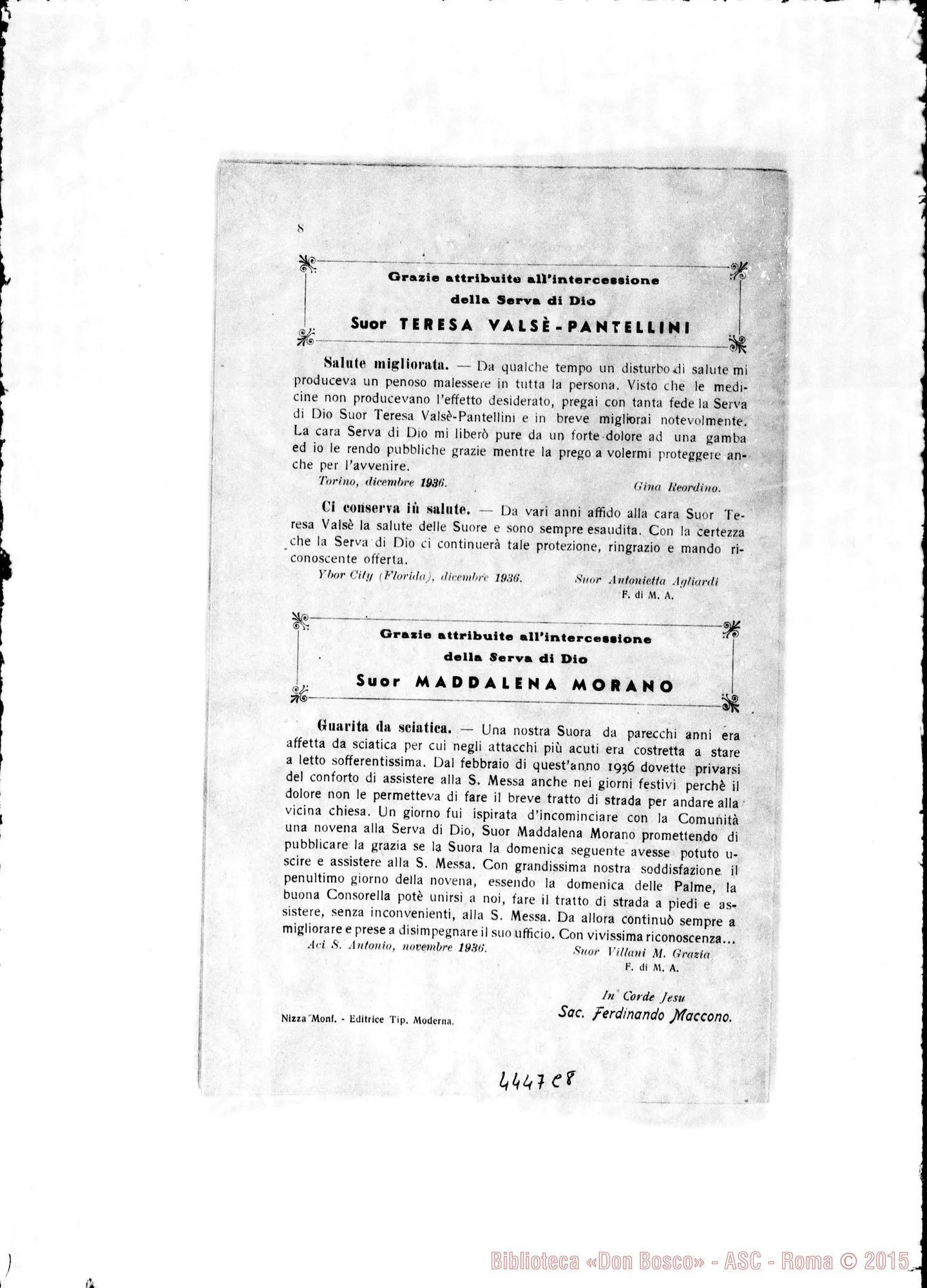 Fotogramma C 8