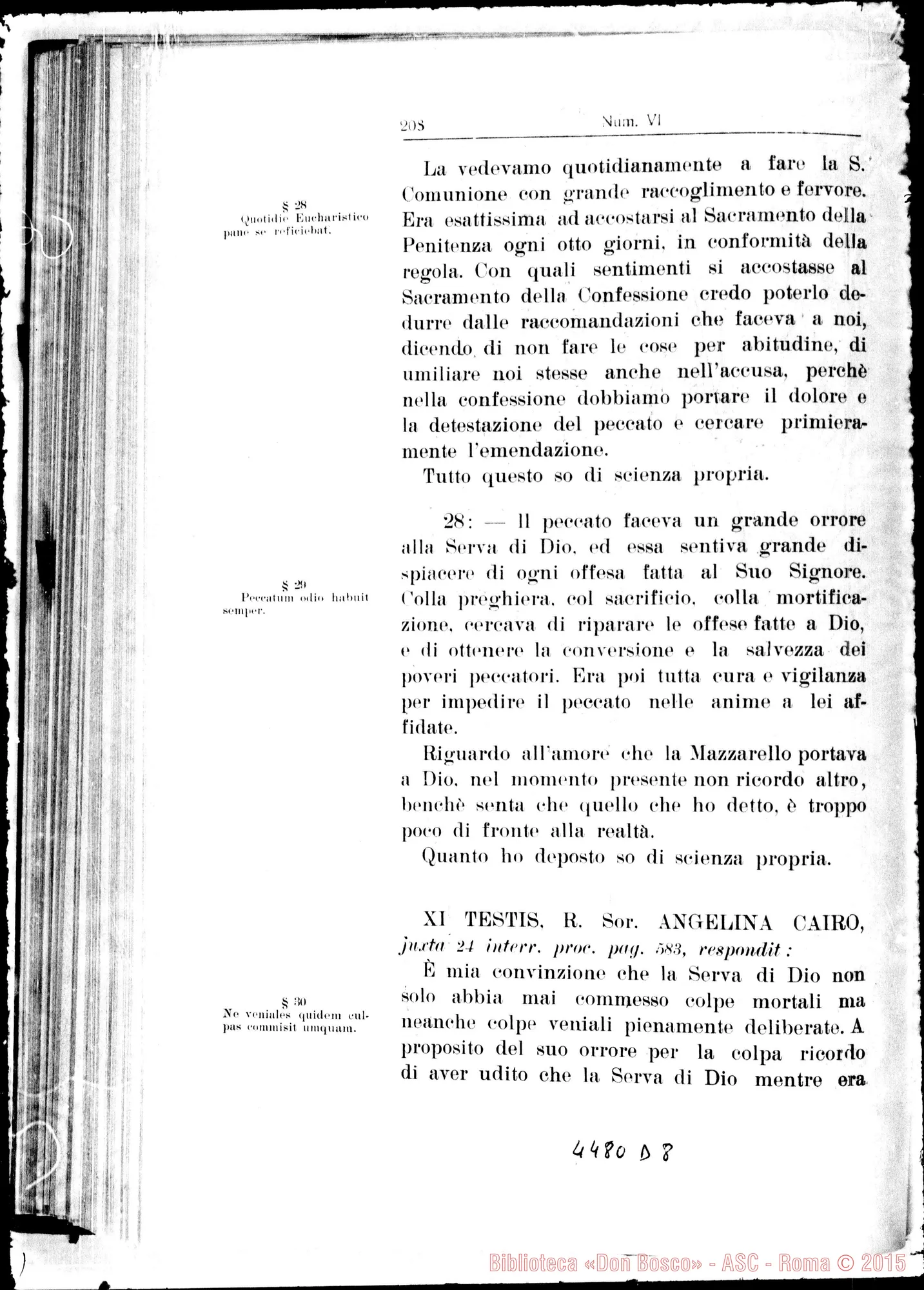 Fotogramma D 8