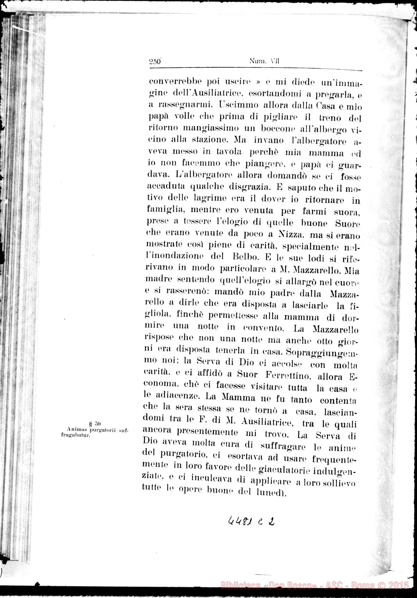 Fotogramma C 2