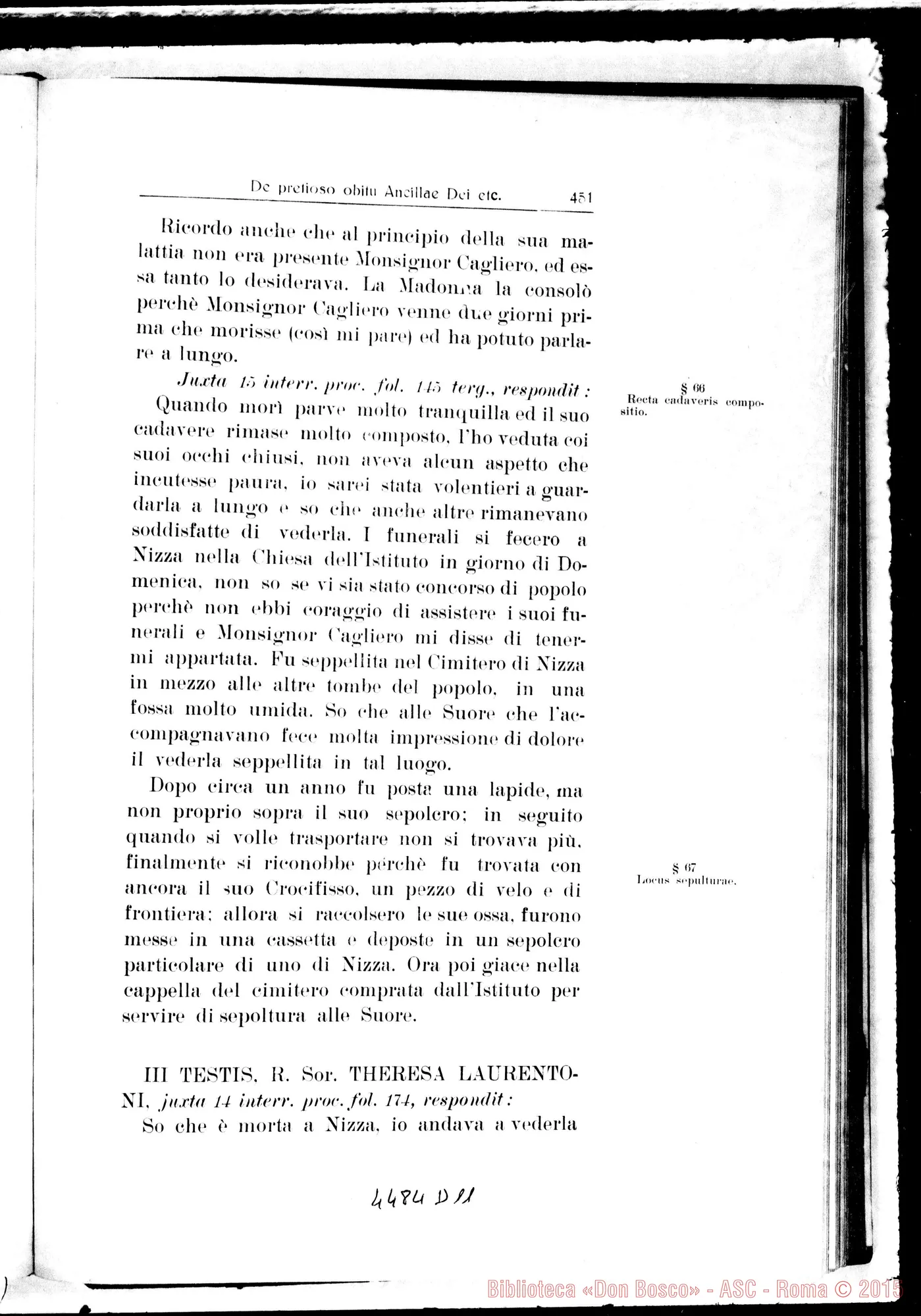 Fotogramma D 11