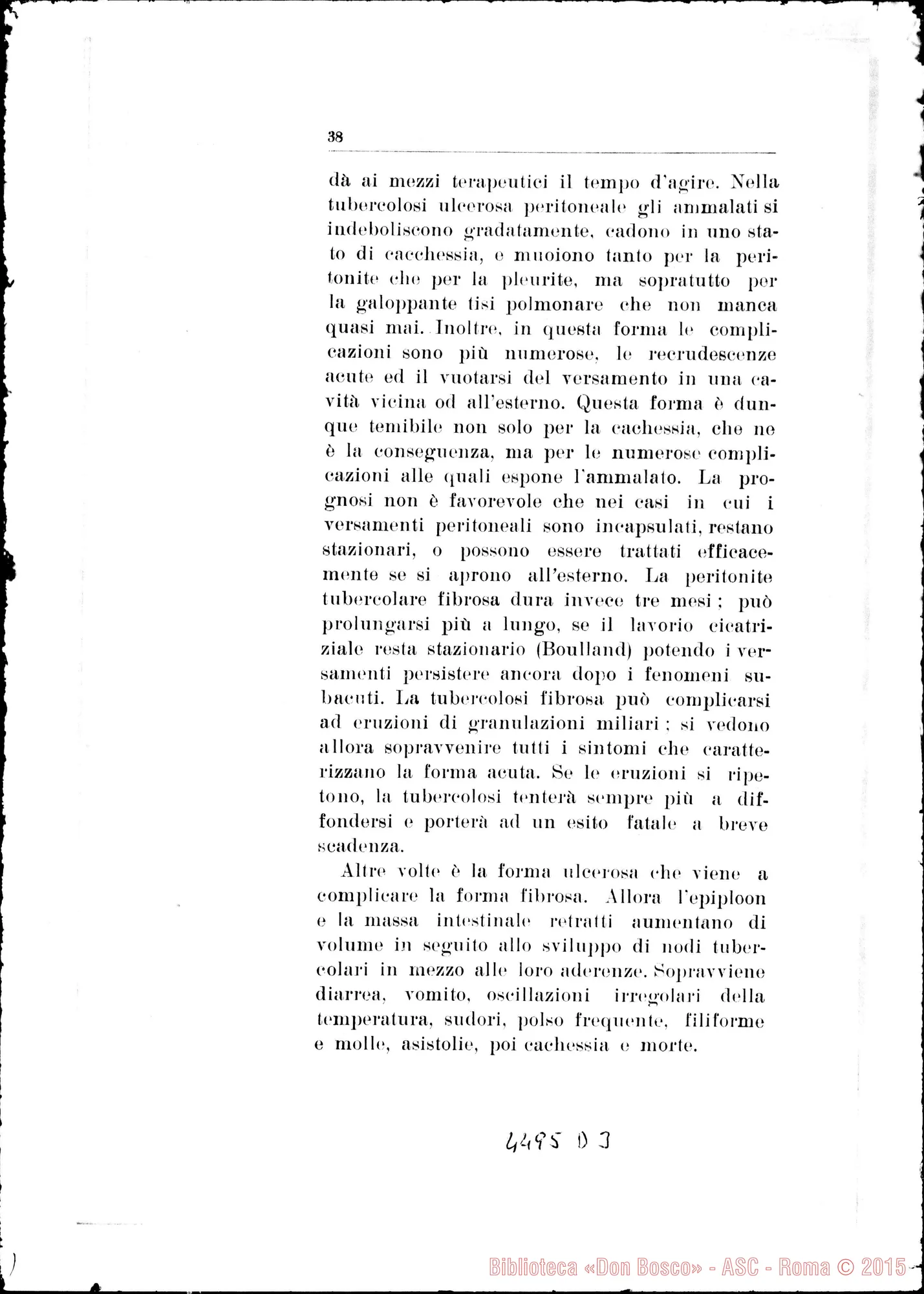 Fotogramma D 3