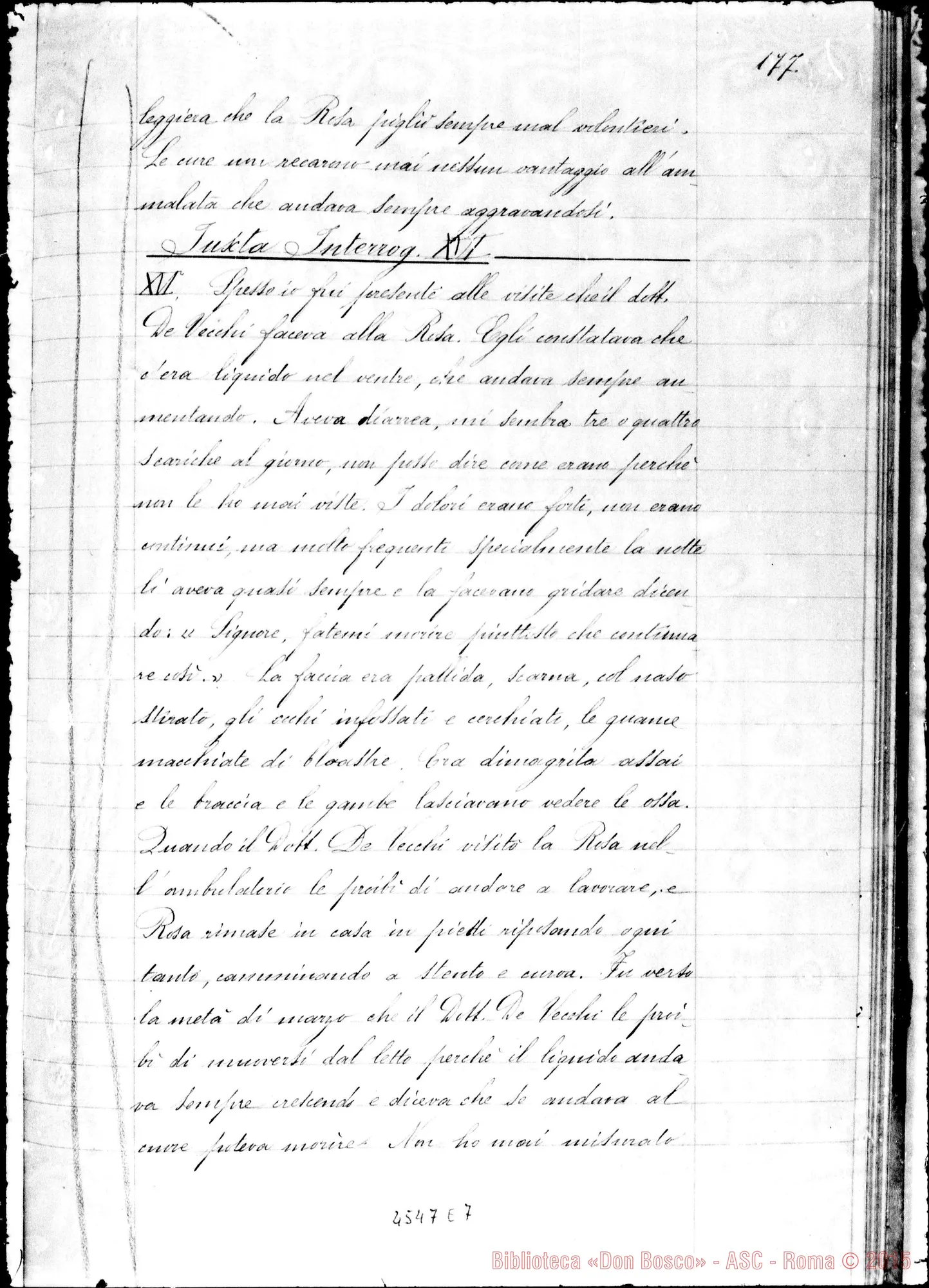 Fotogramma E 7