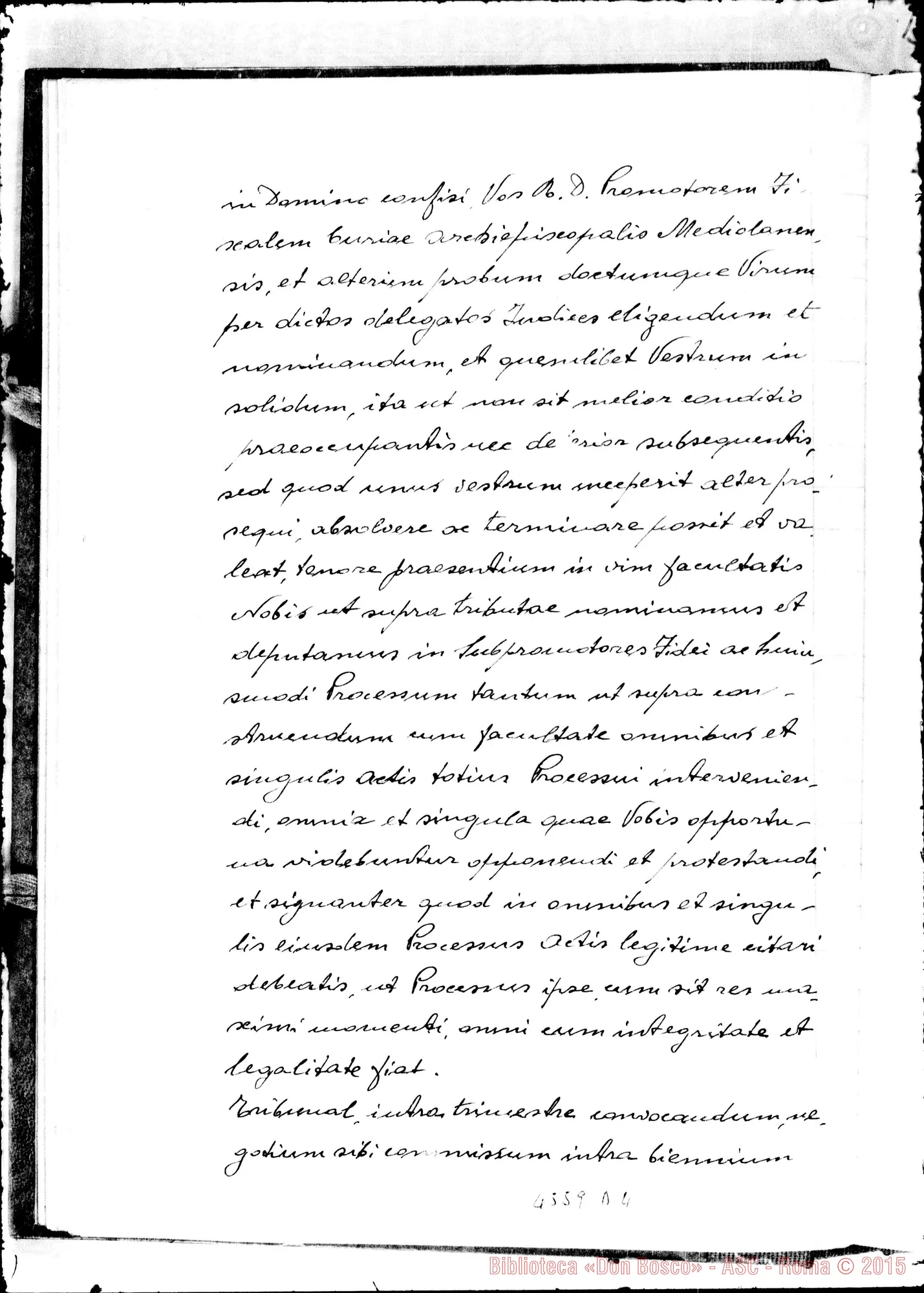 Fotogramma D 4
