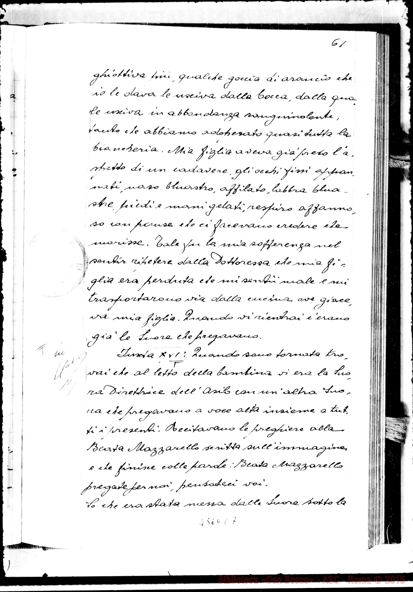 Fotogramma C 7