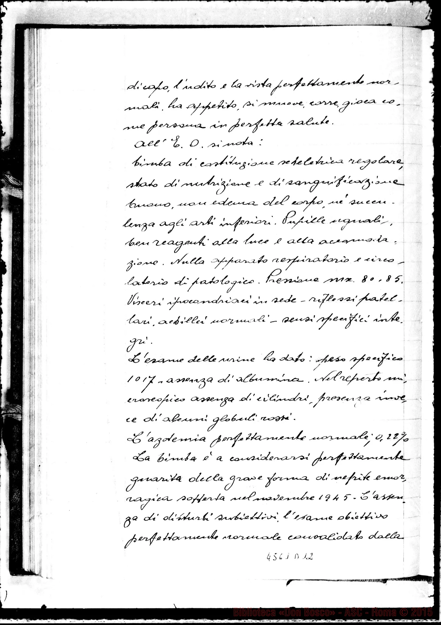 Fotogramma D 12
