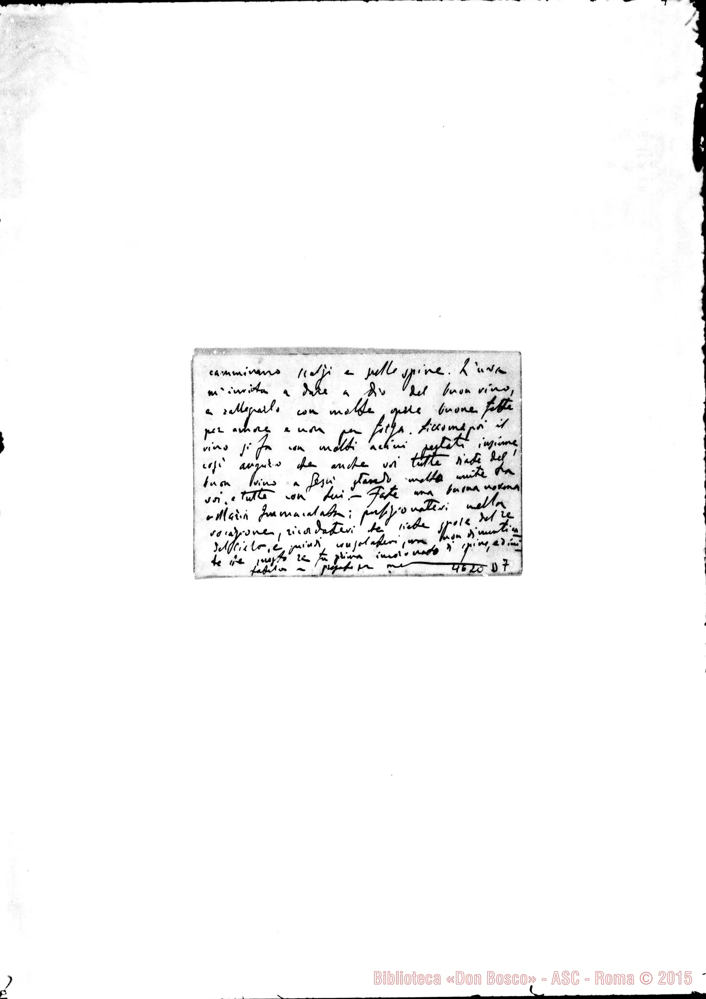 Fotogramma D 7 — Pestarino Rosalia. Torino, 26-11-1889