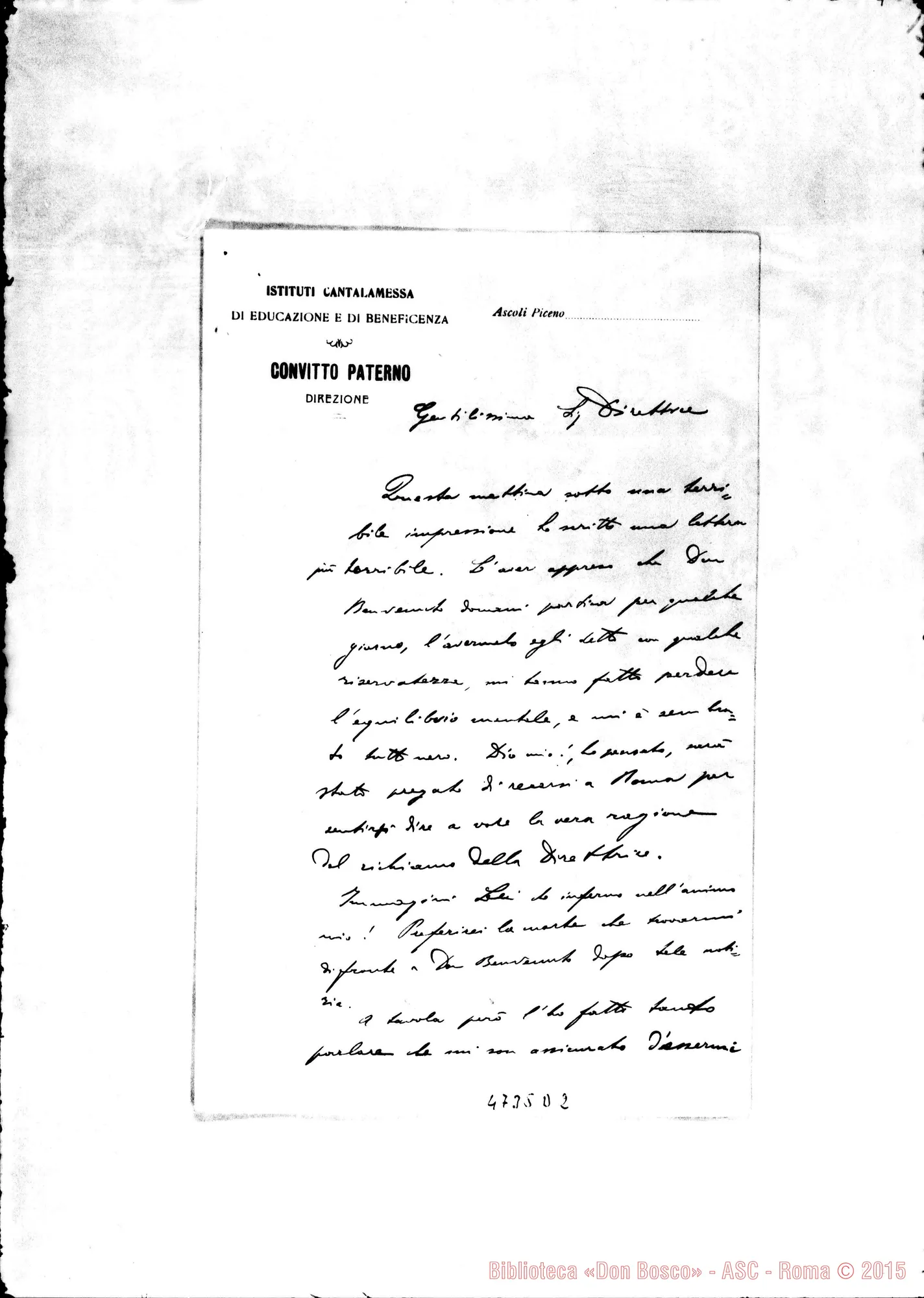 Fotogramma D 2 — Talvacchia Stefano, sac.-Direttrice. Ascoli P., s.d.