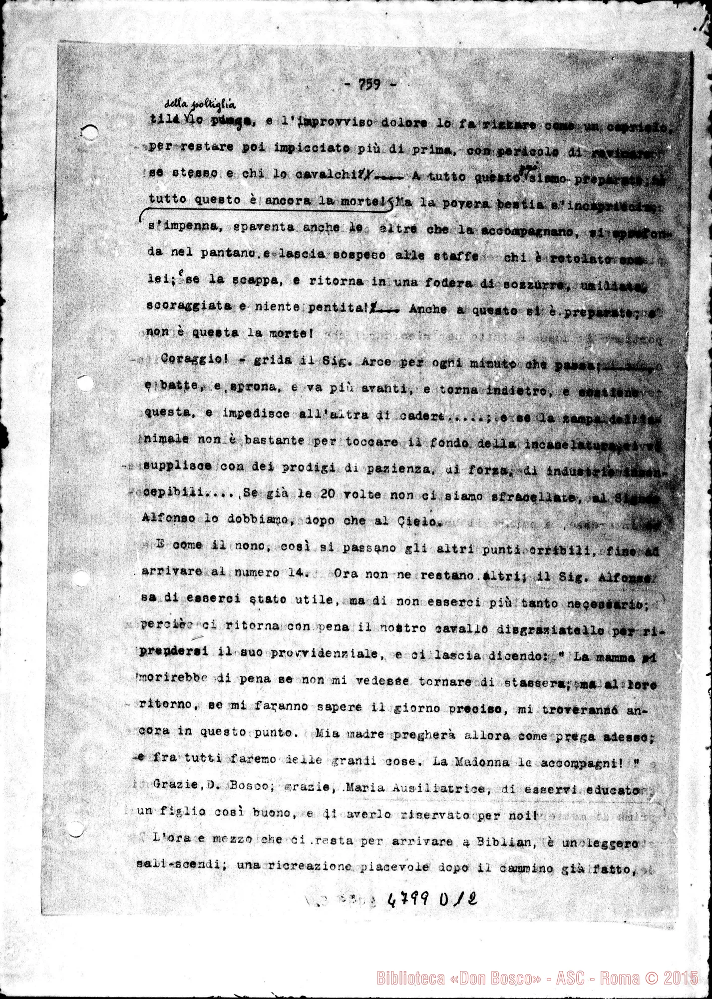 Fotogramma D 12