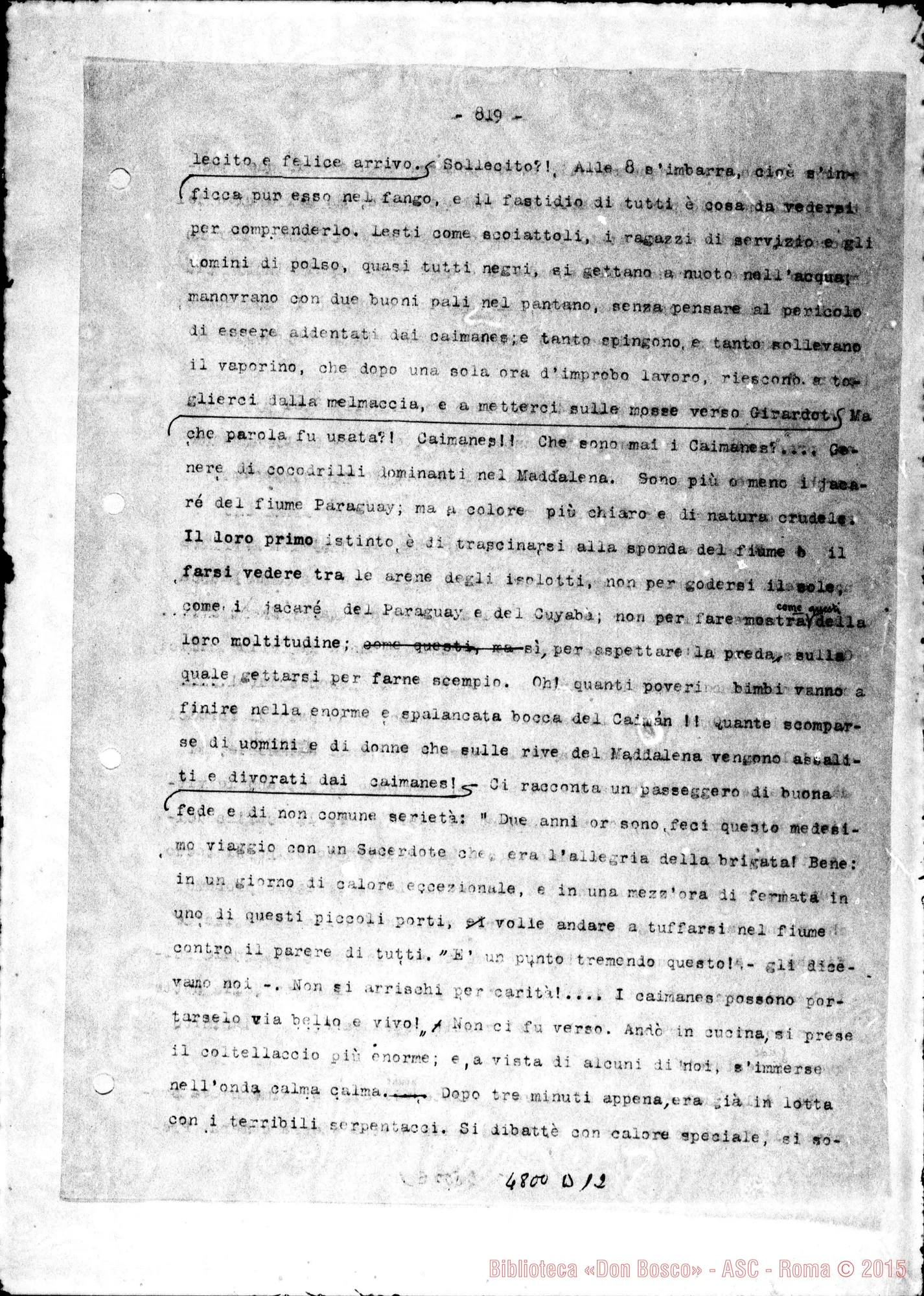 Fotogramma D 12
