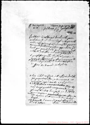 Fotogramma D 11