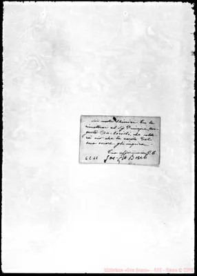Fotogramma C 11