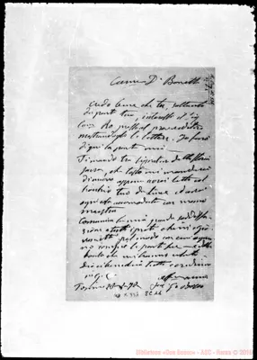 Fotogramma C 11