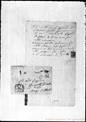 Fotogramma E 8