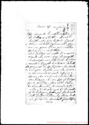 Fotogramma C 12