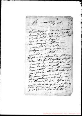 Fotogramma D 5