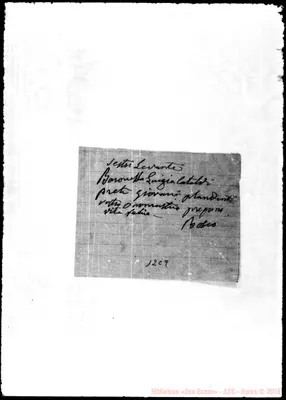 Fotogramma C 9