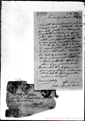 Fotogramma B 8